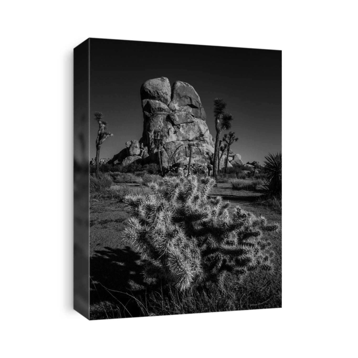 Black and white desert landscape from Joshua Tree, California