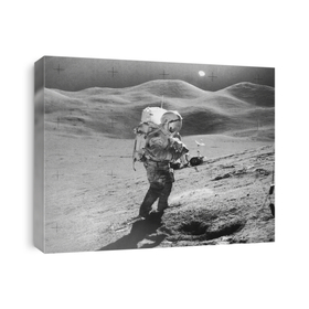 Astronaut