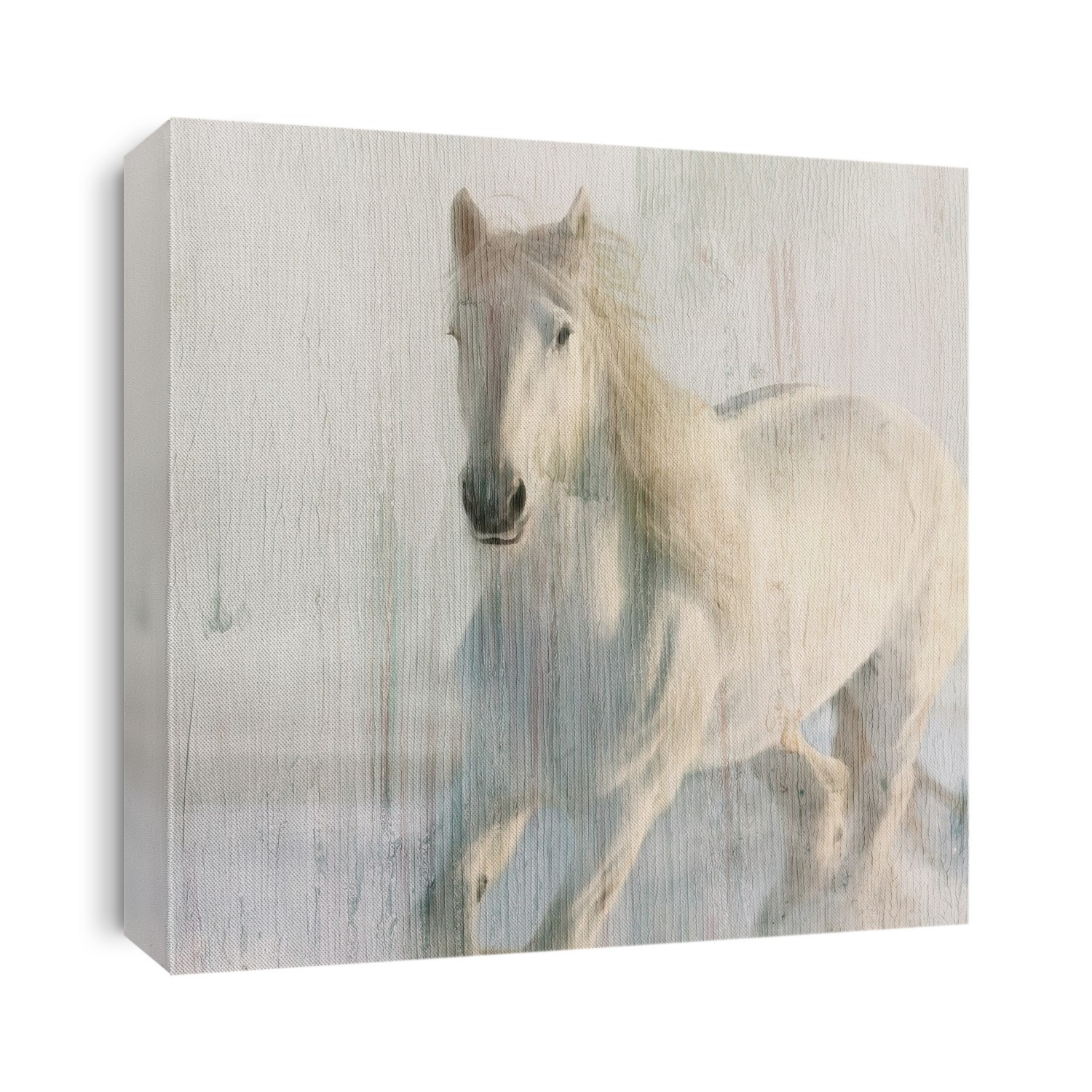 Distress white running horse
