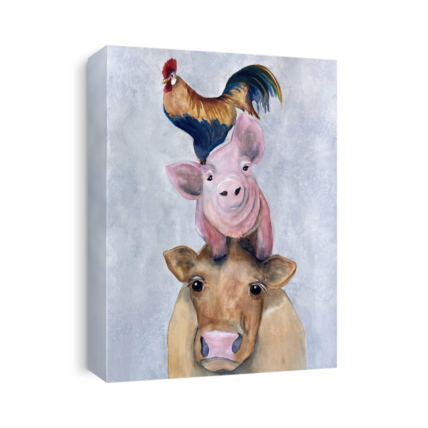 Animals