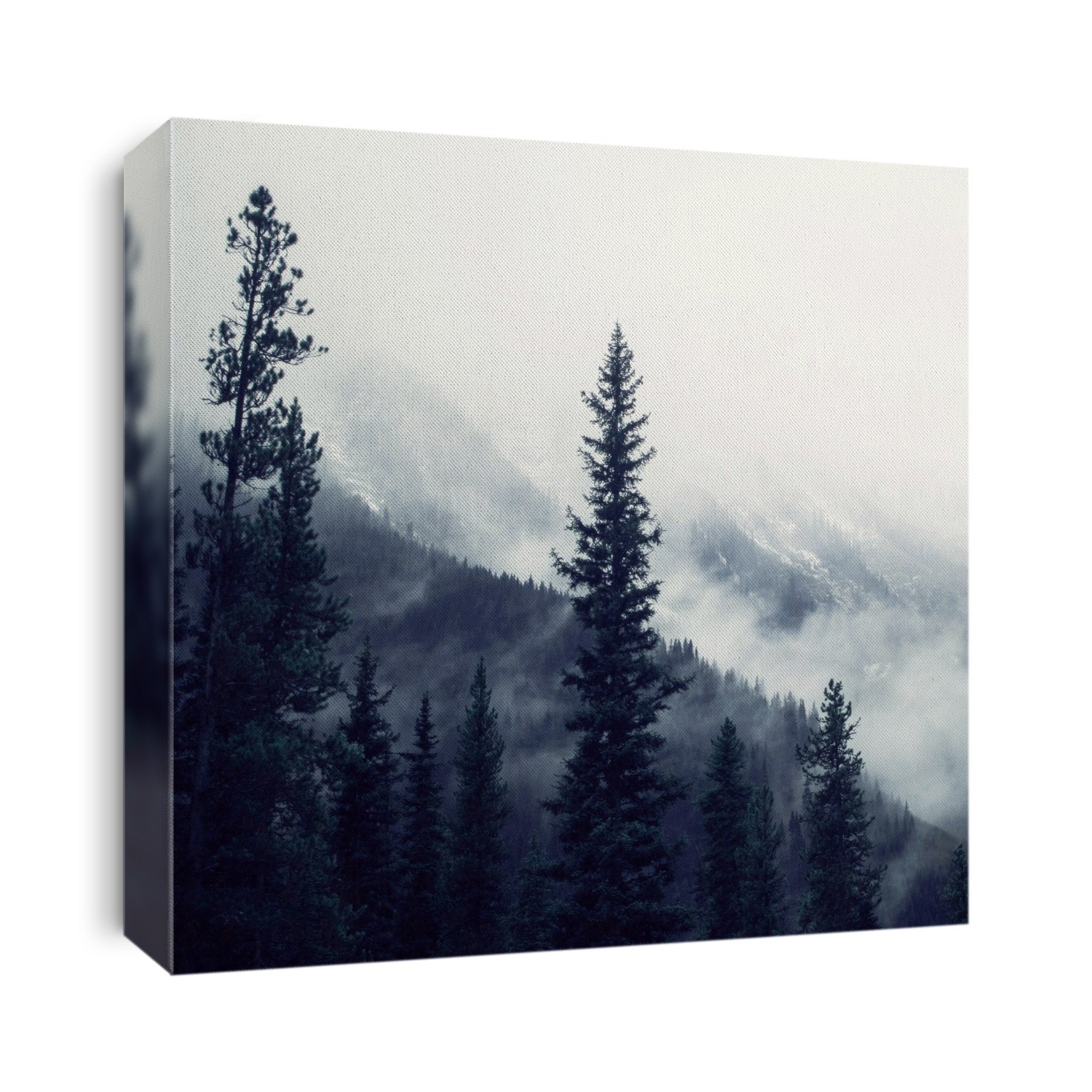 Trees