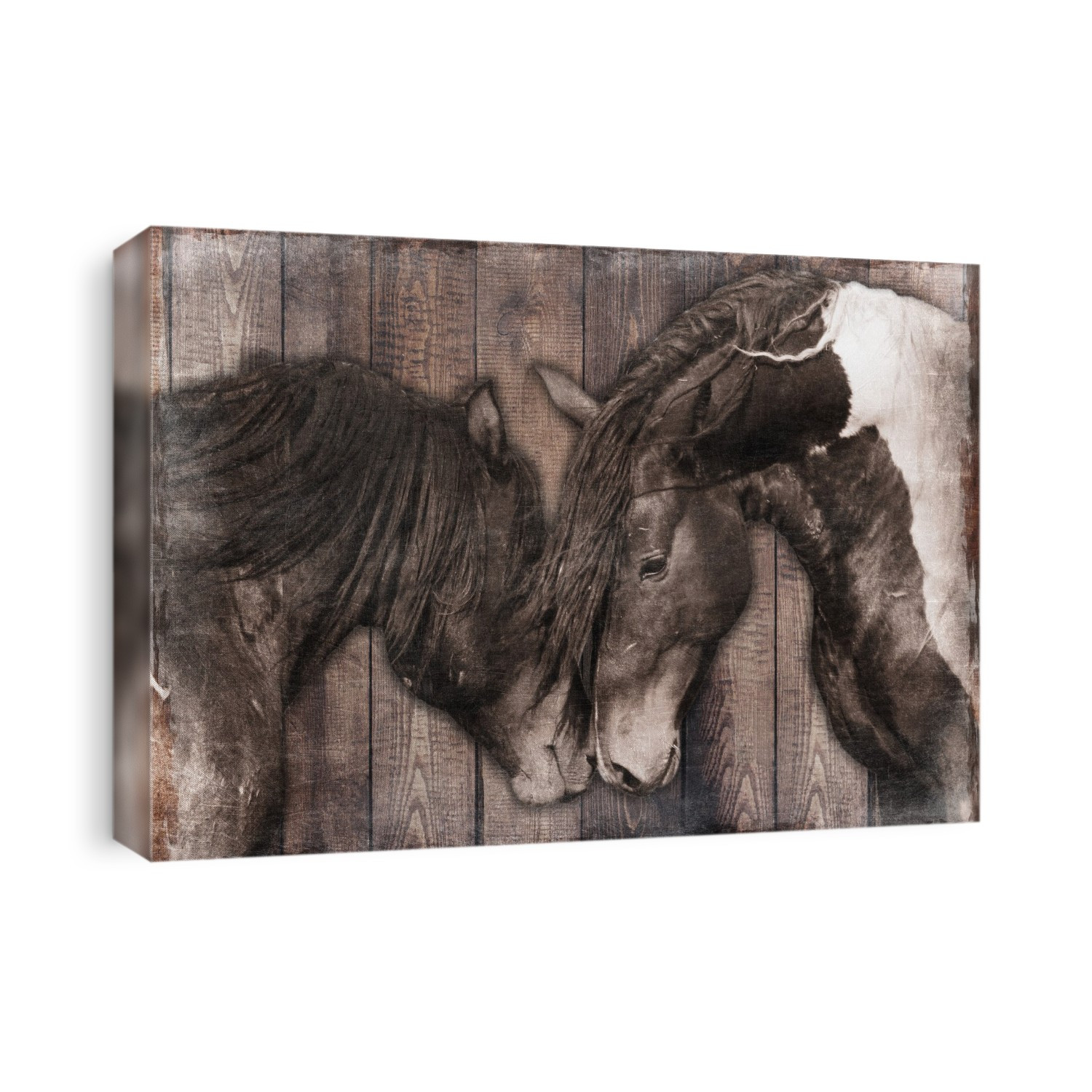 Loving horses