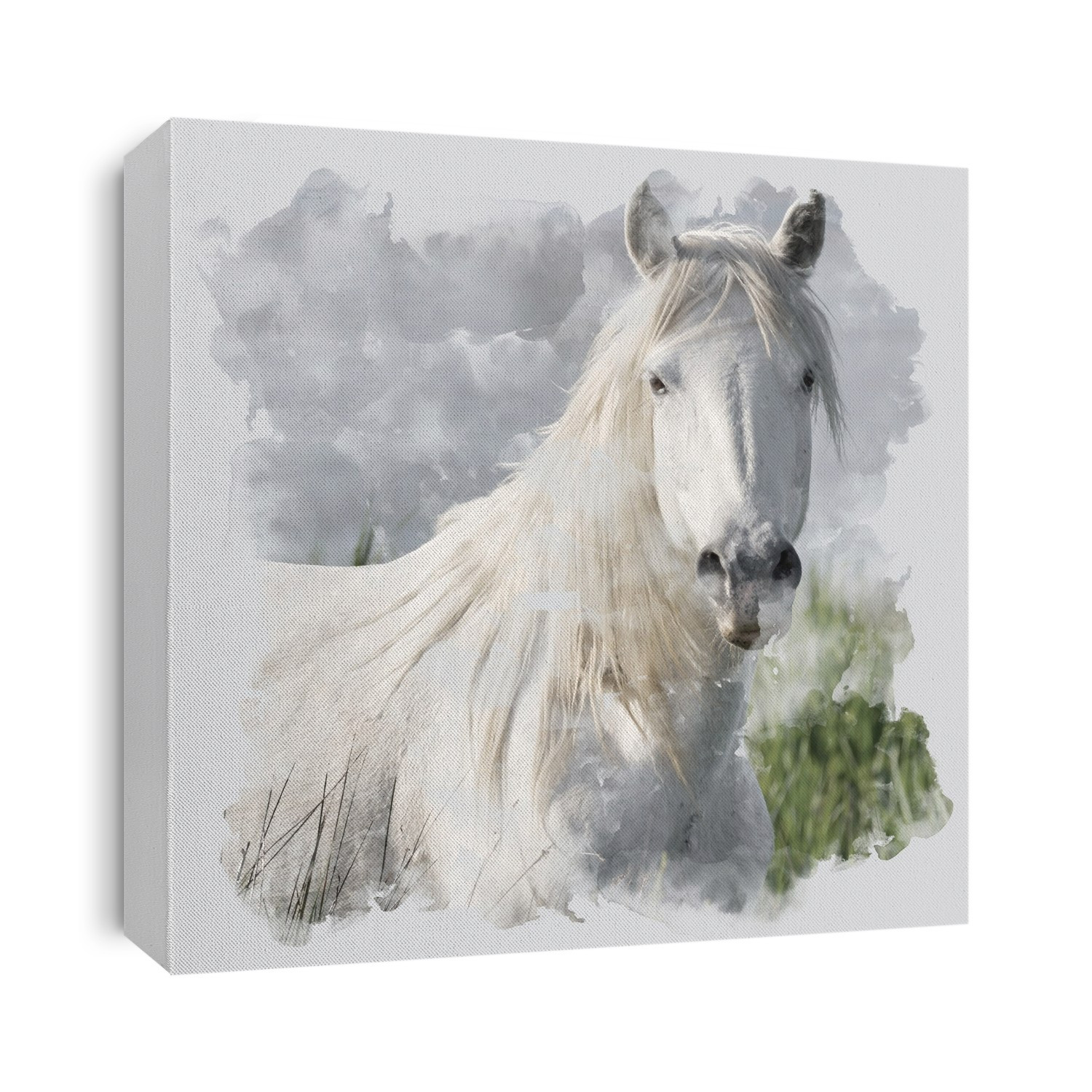 Watercolor Horse portrait