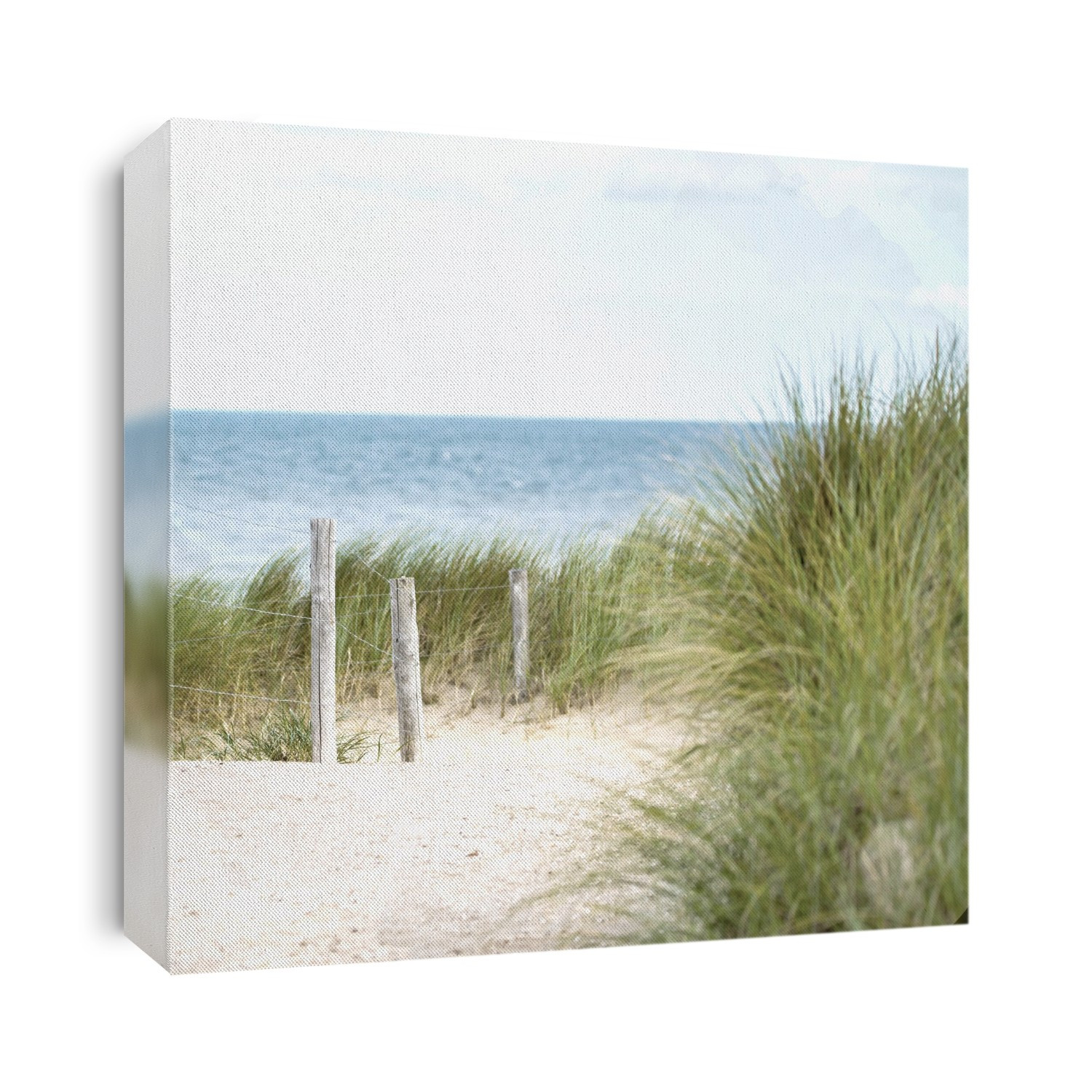 Seascapes
