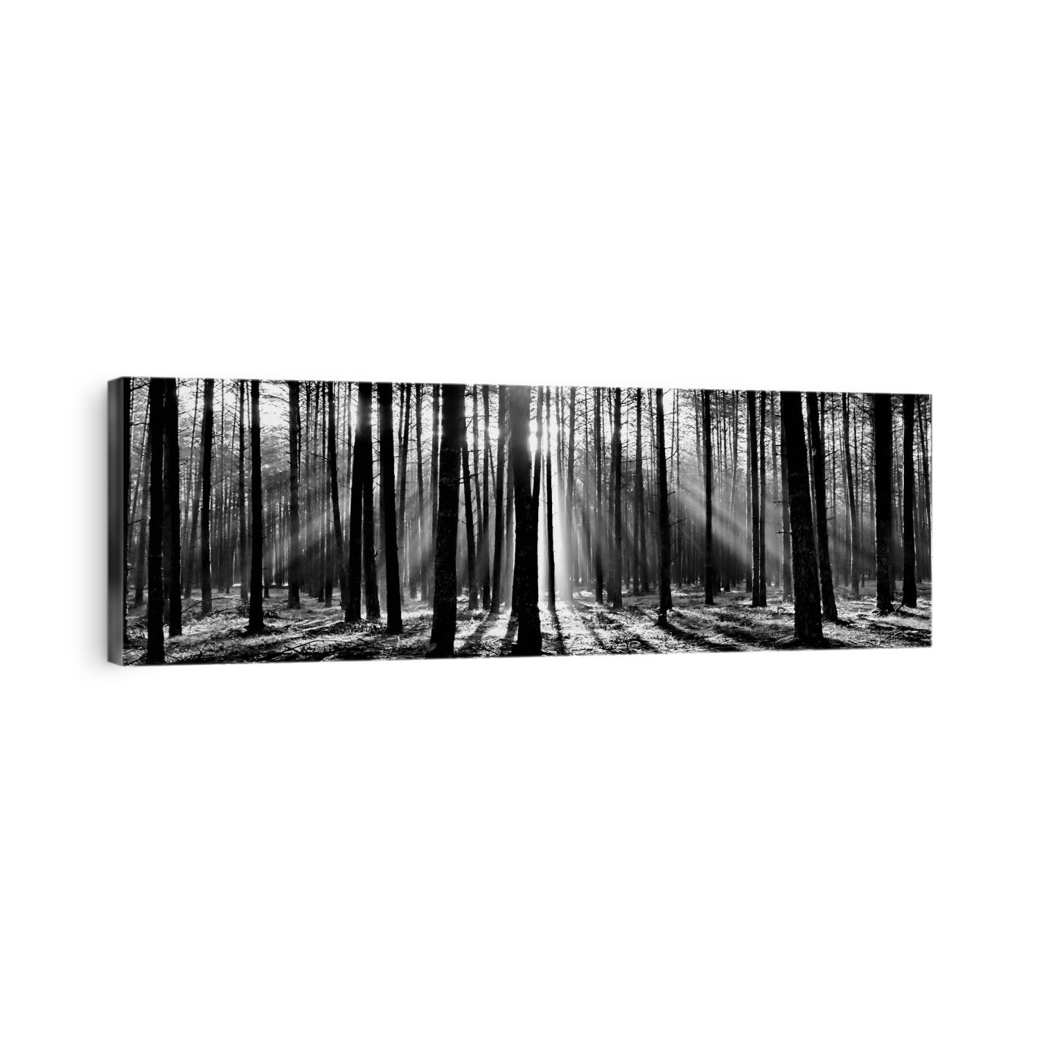 Trees