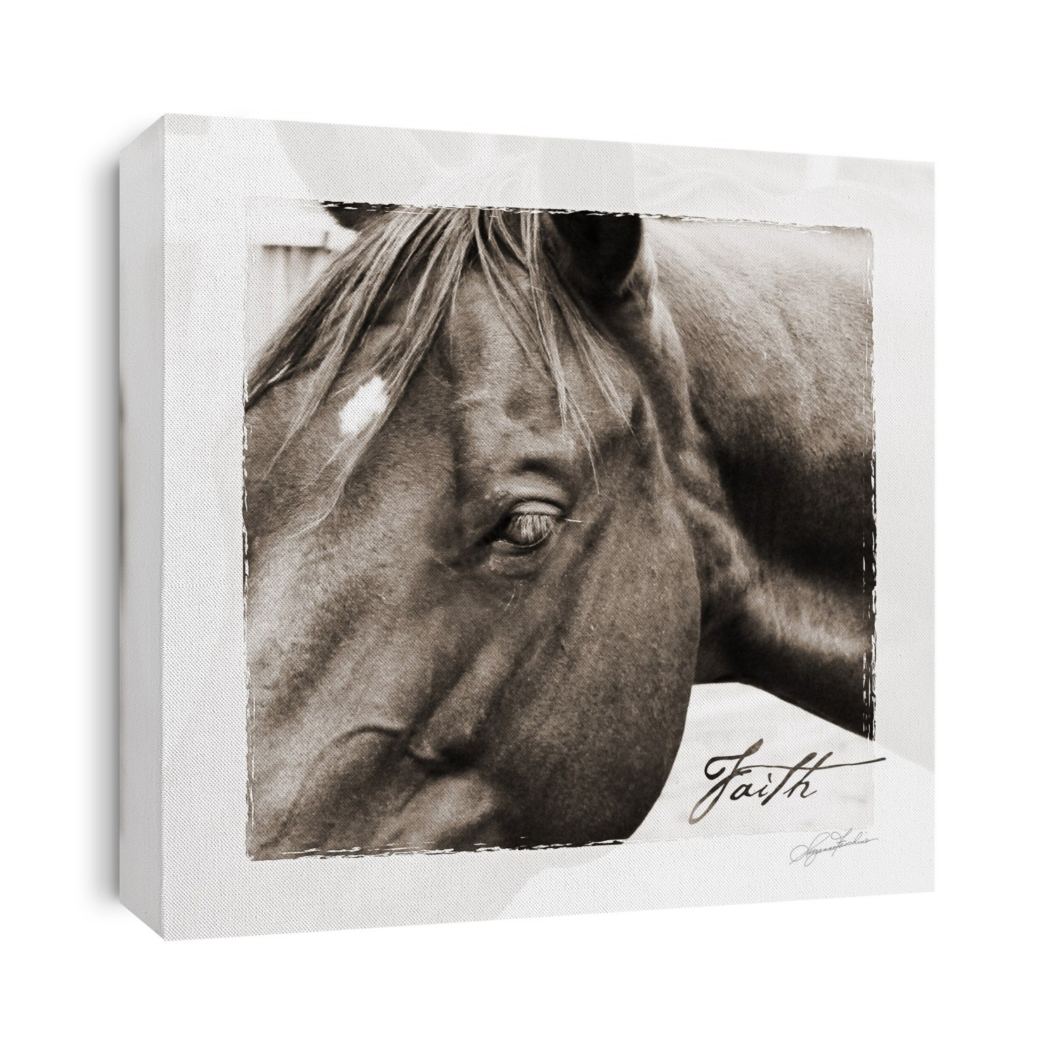 Horse sentiments