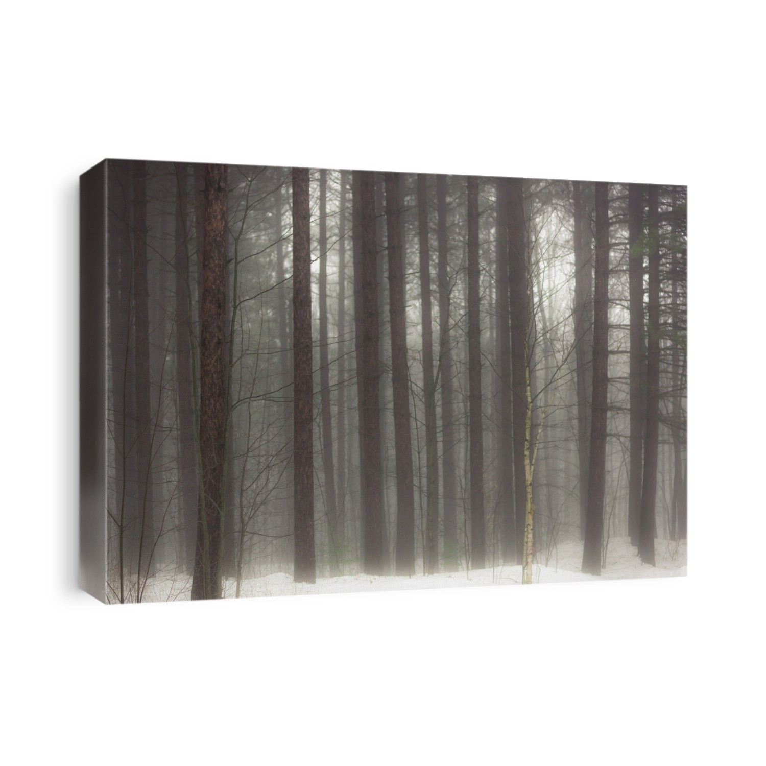 Trees