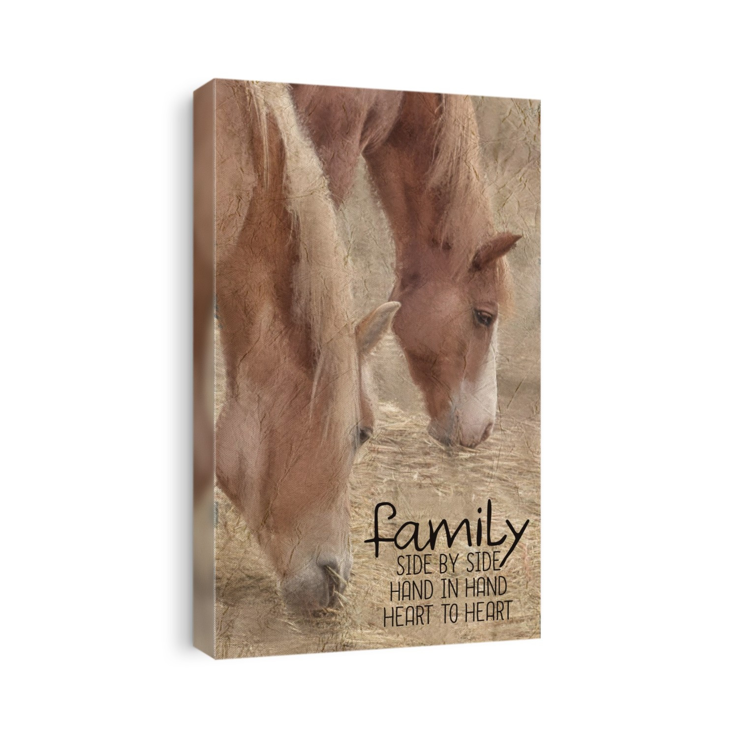 Horse Sentiments
