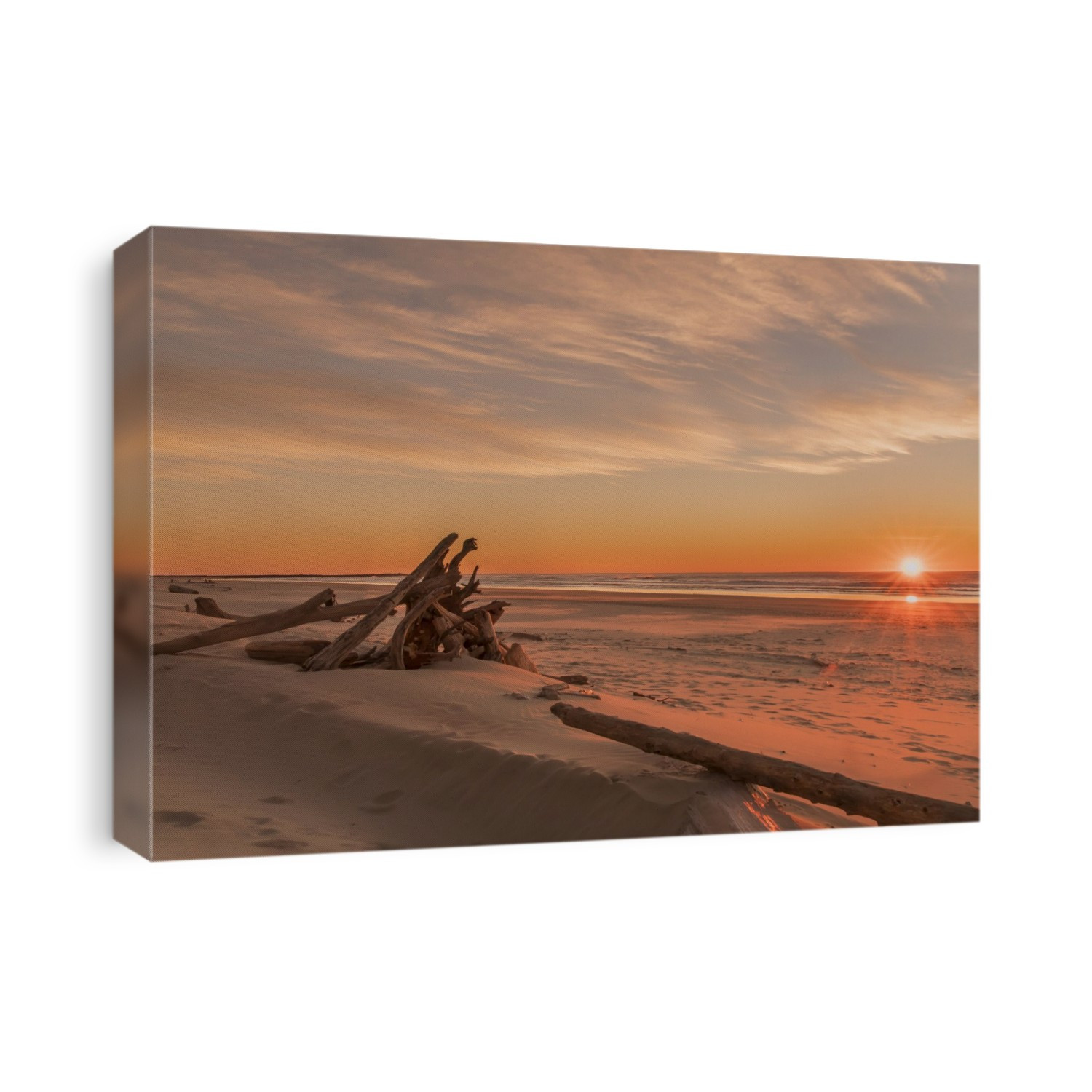 Driftwood on Heceta Beach taken at sunset; Florence, Oregon, United States of America