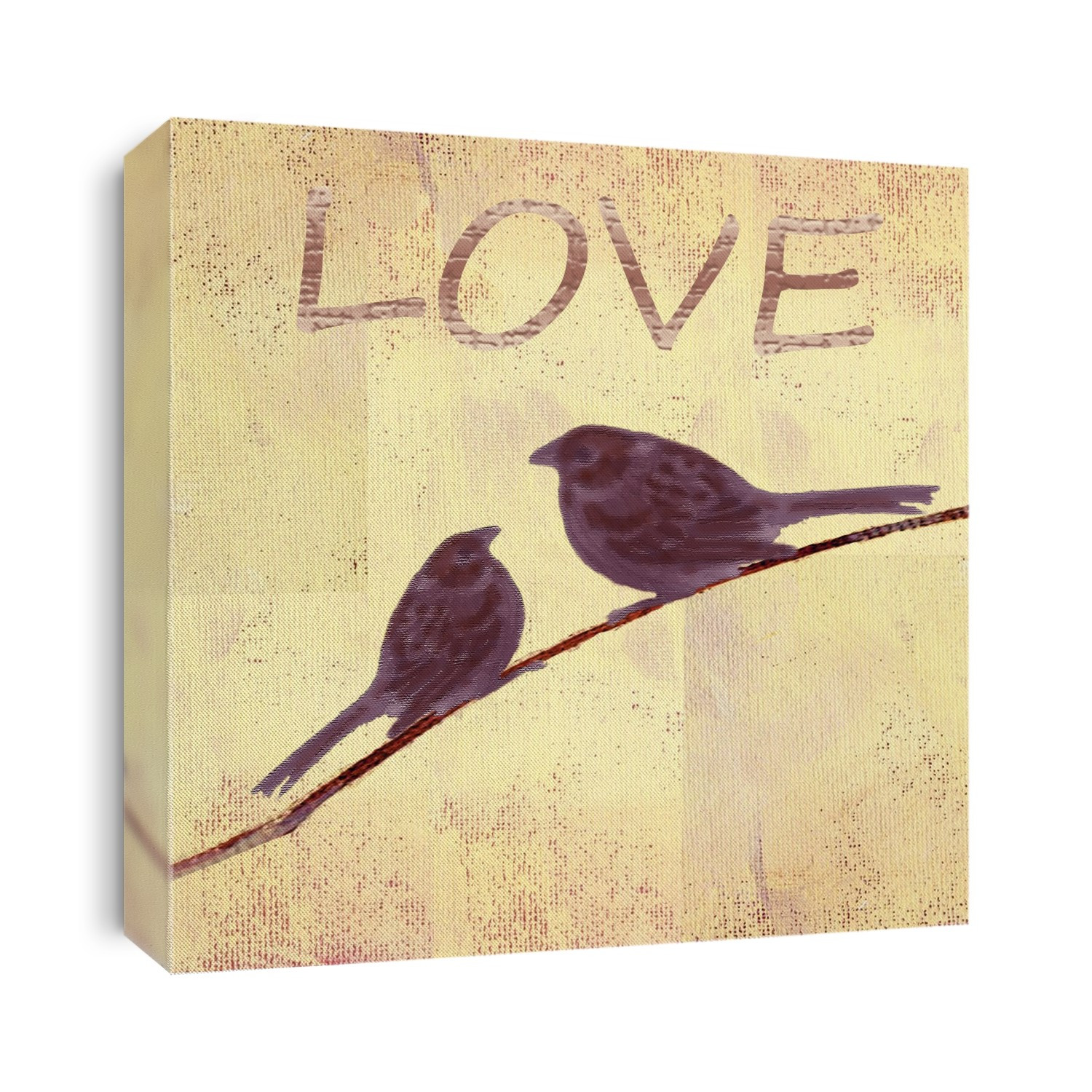 Birds
