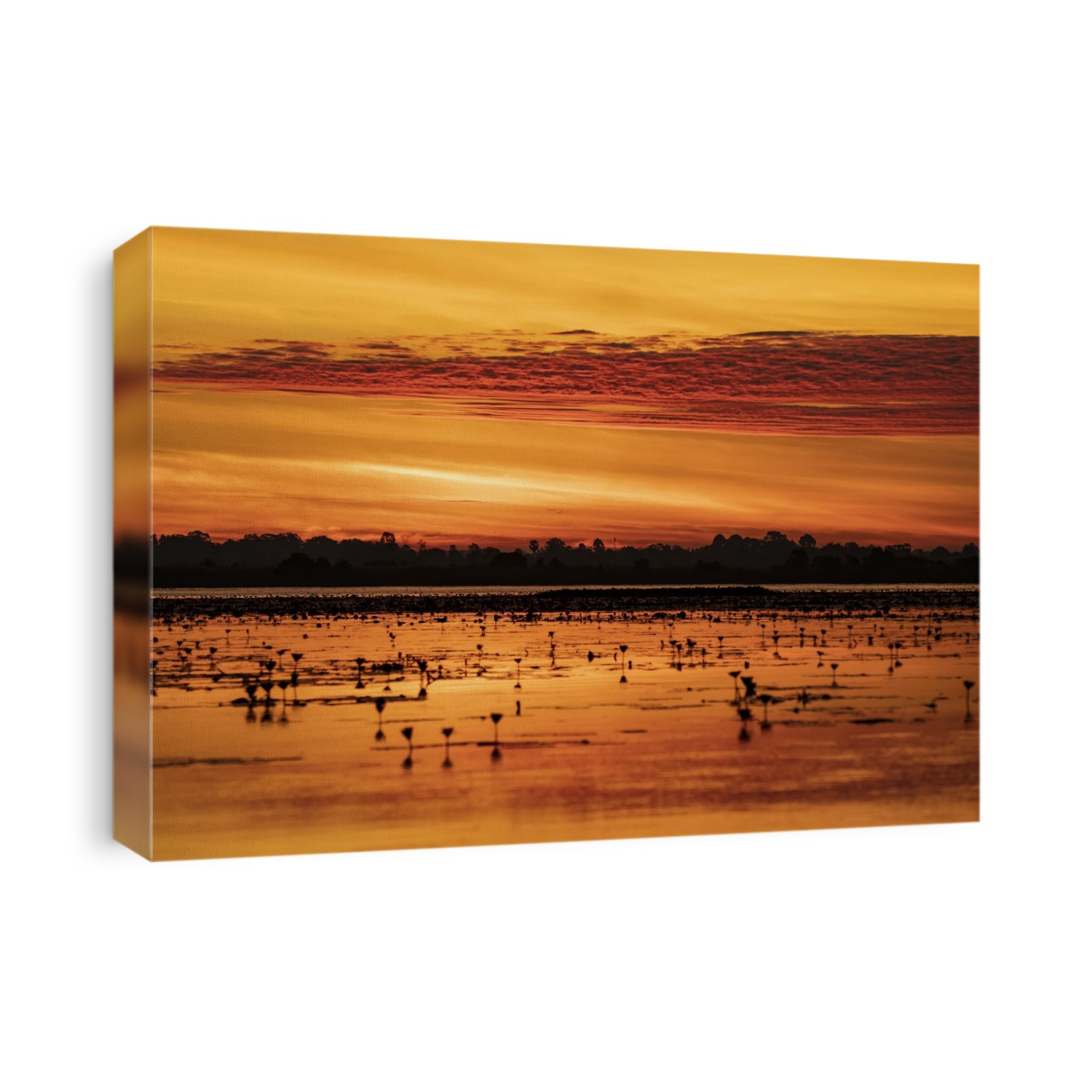 Nong Han Lake and the Red Lotus Sea glowing orange at sunset; Thailand