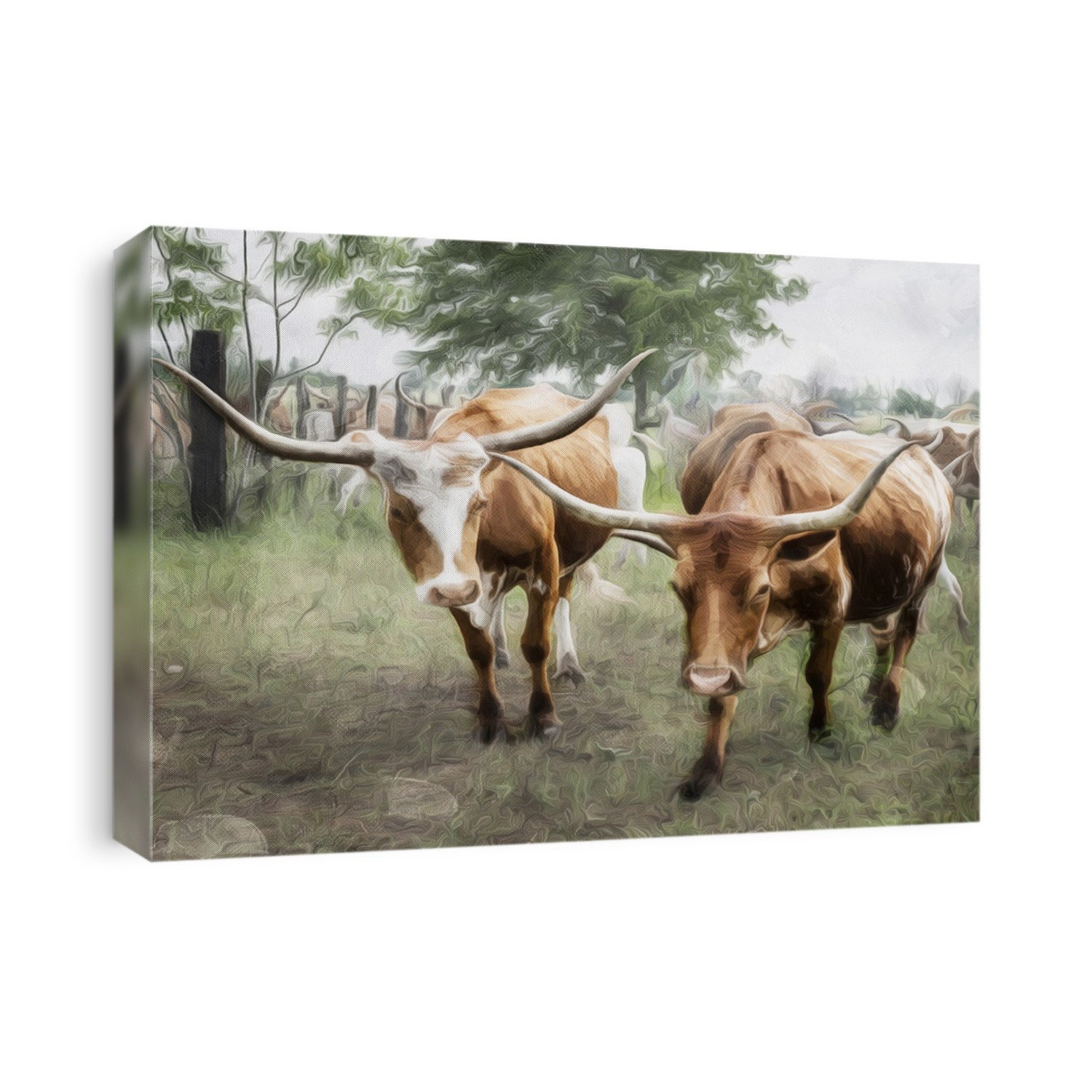Animals