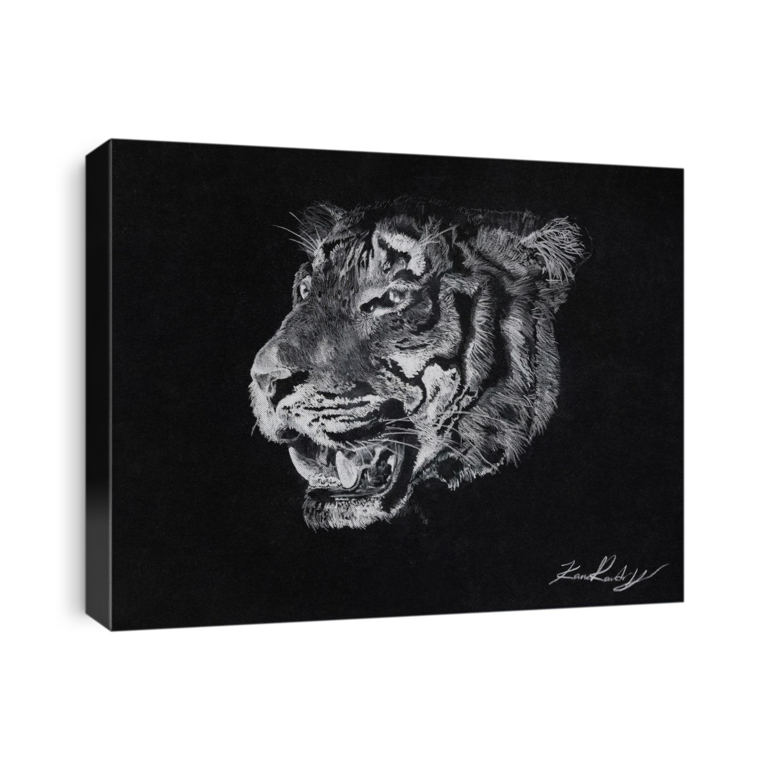 Drawing of a tiger's head on a black background