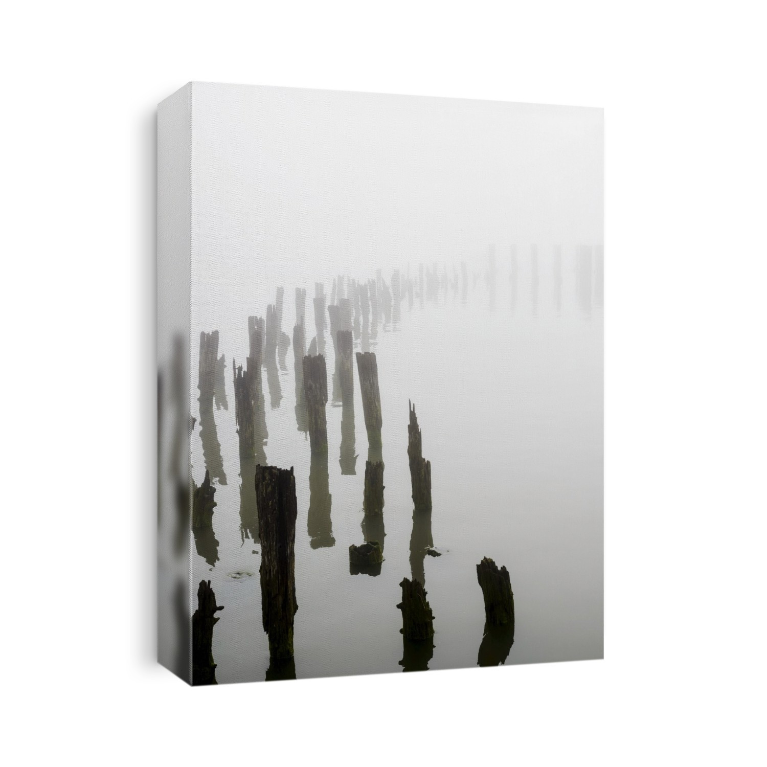 Wooden Pilings Obscured By Fog On The Columbia River In Oregon; Astoria, Oregon, United States Of America