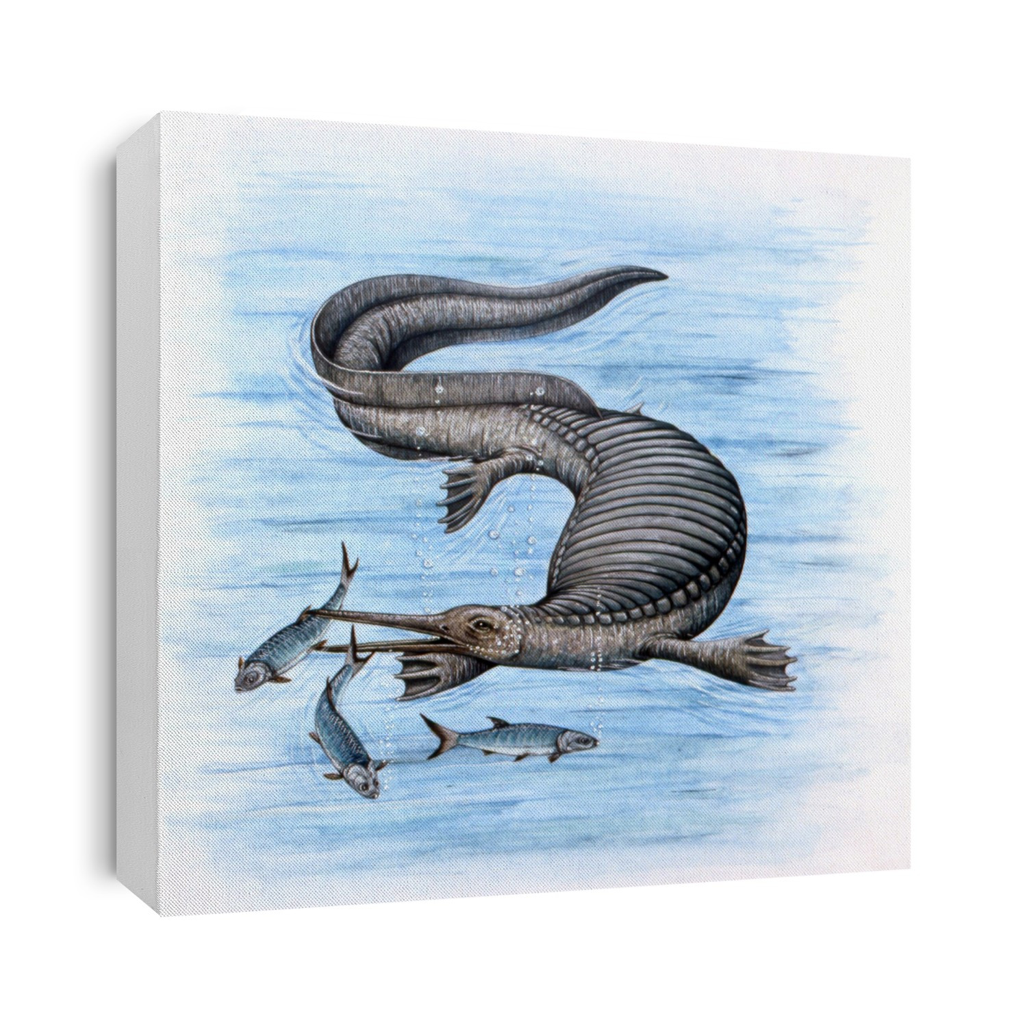 Nanchangosaurus marine dinosaur. Computer illustration of a Nanchangosaurus sp. aquatic reptile hunting fish in a prehistoric sea. This large marine animal lived during the middle Triassic Period (around 245 to 235 million years ago), in the seas around what is now China.