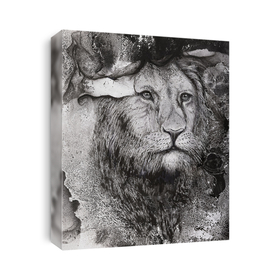 Lions