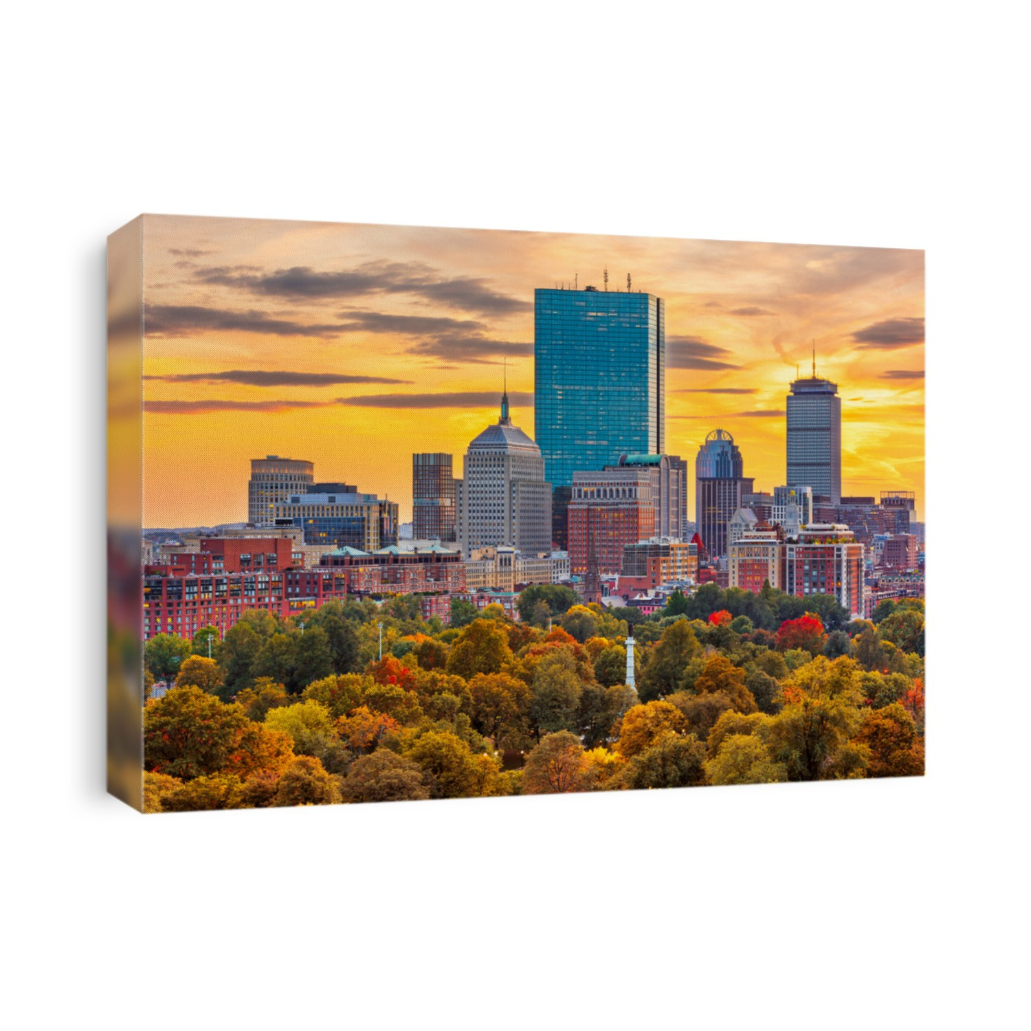 Boston, Massachusetts, USA downtown skyline over the park.