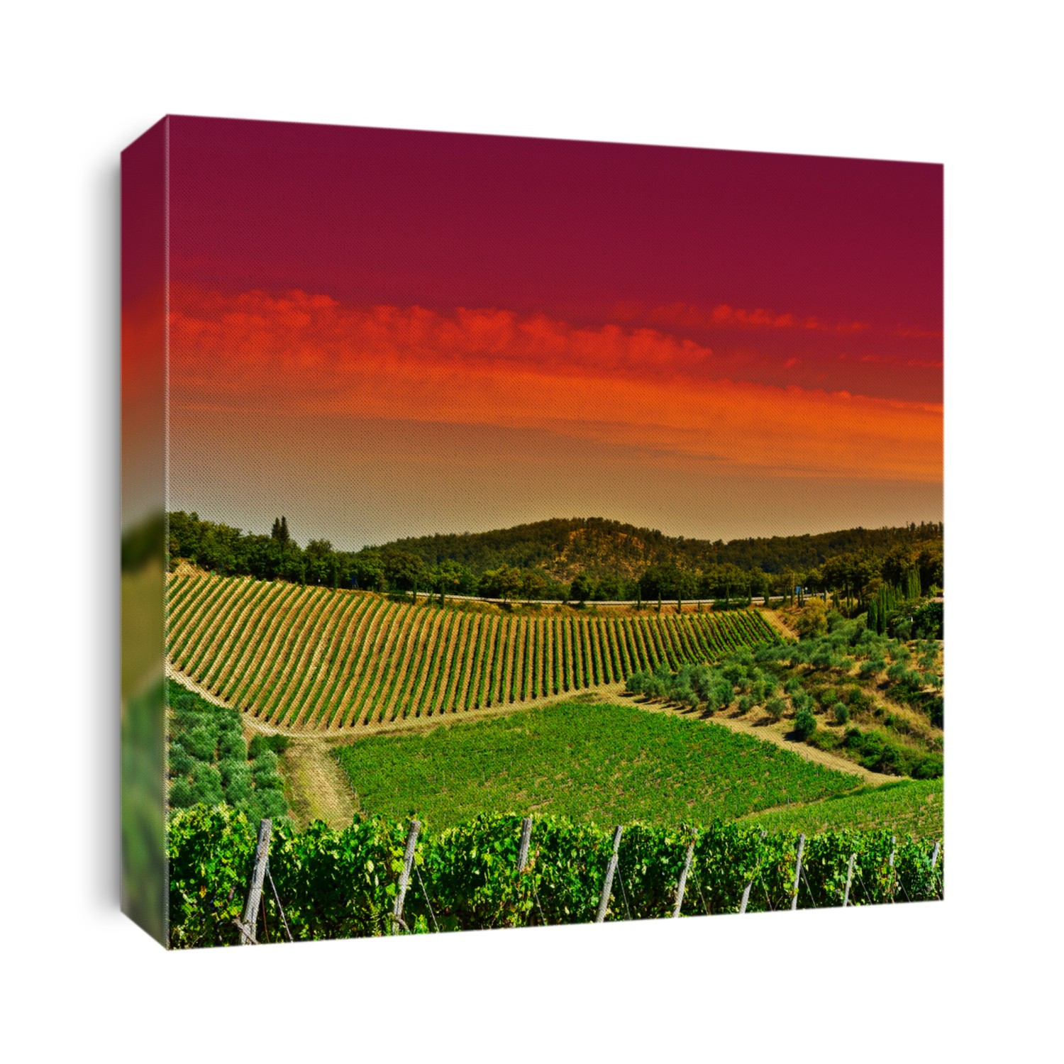Tuscany landscape with country house, olive groves and vineyards. Italian wine farm surrounded with vineyards and olive trees at sunset  