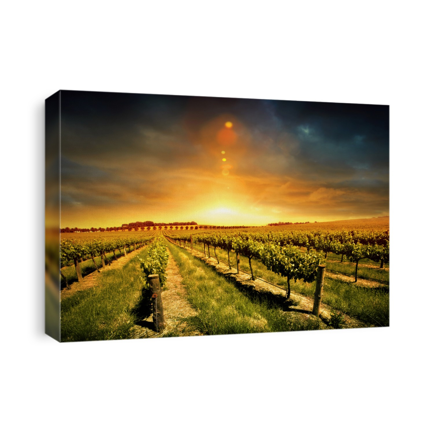 Beautiful Sunset over a Barossa Vineyard