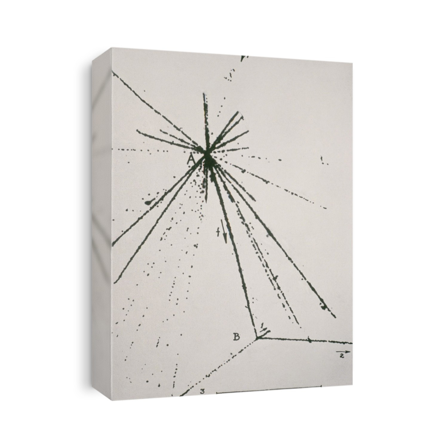 The first observation of the formation & disinteg- ration of a "hypernucleus" - a nucleus in which a neutron is replaced by a lambda particle. The picture was recorded in photographic emulsion in 1953 by Polish physicists Marian Danysz & Jerzy Pniewski. The hypernucleus is created in the particle collision at A & disintegrates at B as a result of the decay of the unstable lambda. The lambda is a neutral member of the family of "strange" particles, which contain a strange quark.