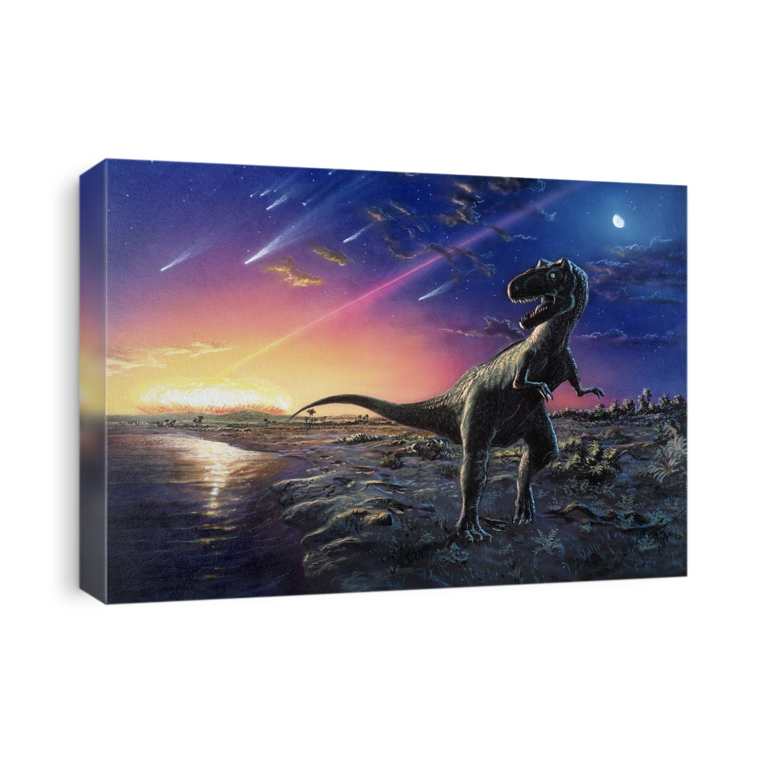 Asteroid strike. Artwork of the dinosaur Tyrannosaurus rex fleeing from an asteroid impact. The impact occurred about 65 million years ago at the end of the Cretaceous geological period and was at least partly responsible for the extinction of a wide range of creatures, including the dinosaurs. The asteroid, estimated to be about 20 kilometres across, struck the Earth in the area now known as the Yucatan peninsula in Central America. It threw vast quantities of debris into the upper atmosphere. This debris blocked out the sunlight causing darkness and lowering global temperatures. The remains of this debris is found as a layer in rocks and called the 'K/T boundary'.