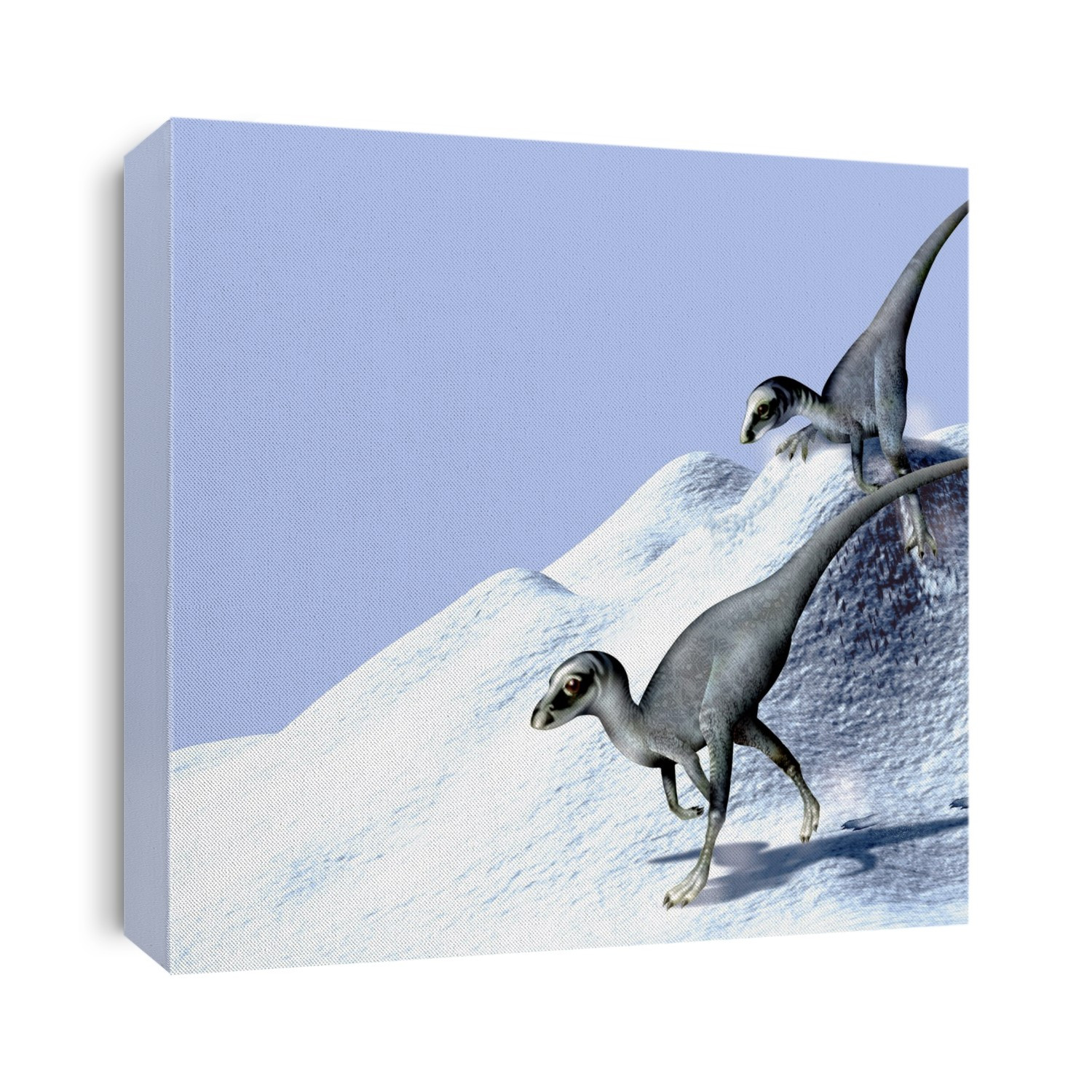 Dinosaurs in snow. Computer illustration of two Hypsilophodontid dinosaurs walking in snow. These small herbivorous dinosaurs, about the size of a turkey, lived in southern Australia around 100 million years ago (Cretaceous period). At this time Australia was extremely far south in latitude, and would have been cold and dark for much of the year. Studies of these dinosaurs have revealed that their skulls contain adaptations for seeing in low light. To cope with the cold, they are likely to have been warm-blooded.