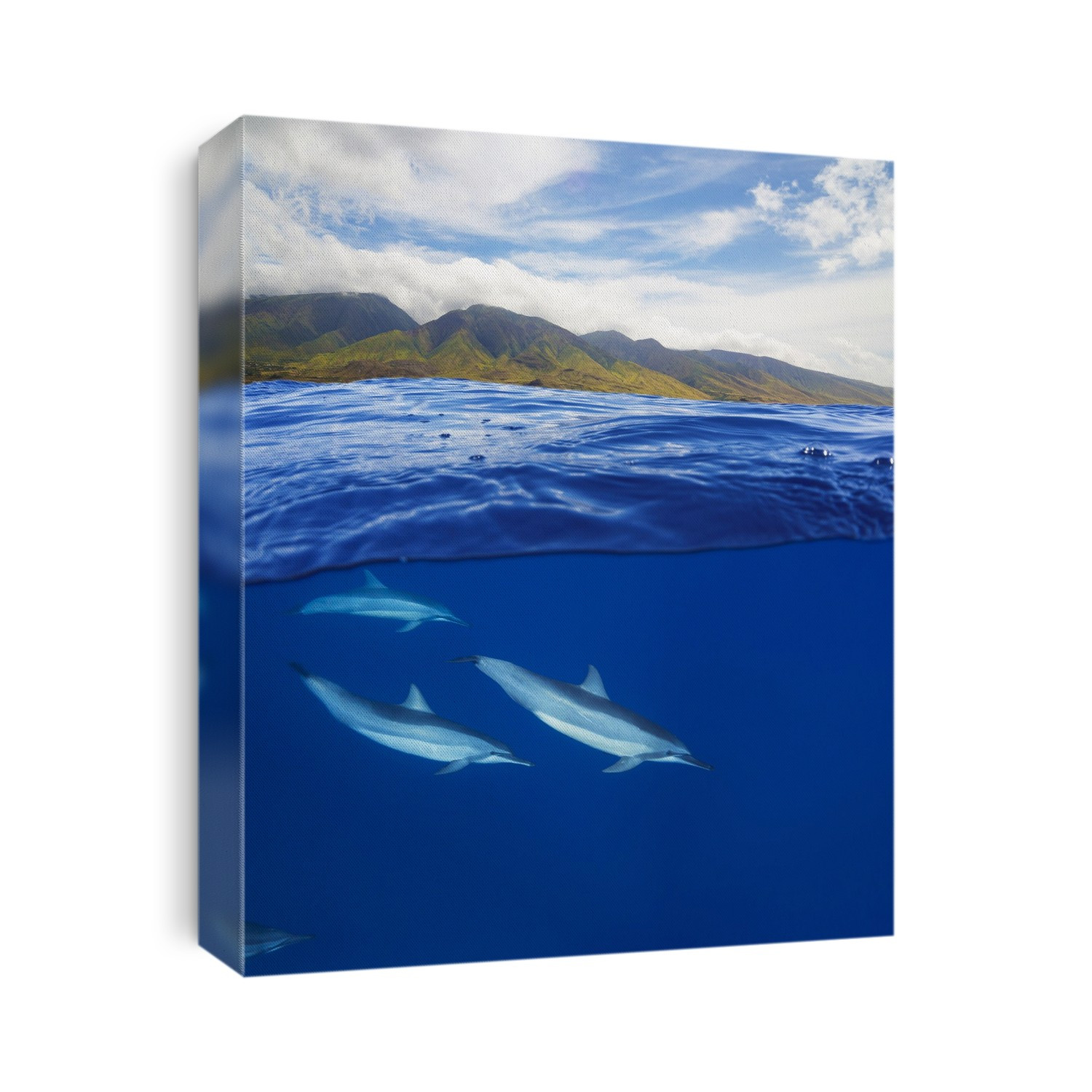 A Split View Of Spinner Dolphin (Stenella Longirostris) Below And The Island Of Maui Above; Maui, Hawaii, United States Of America