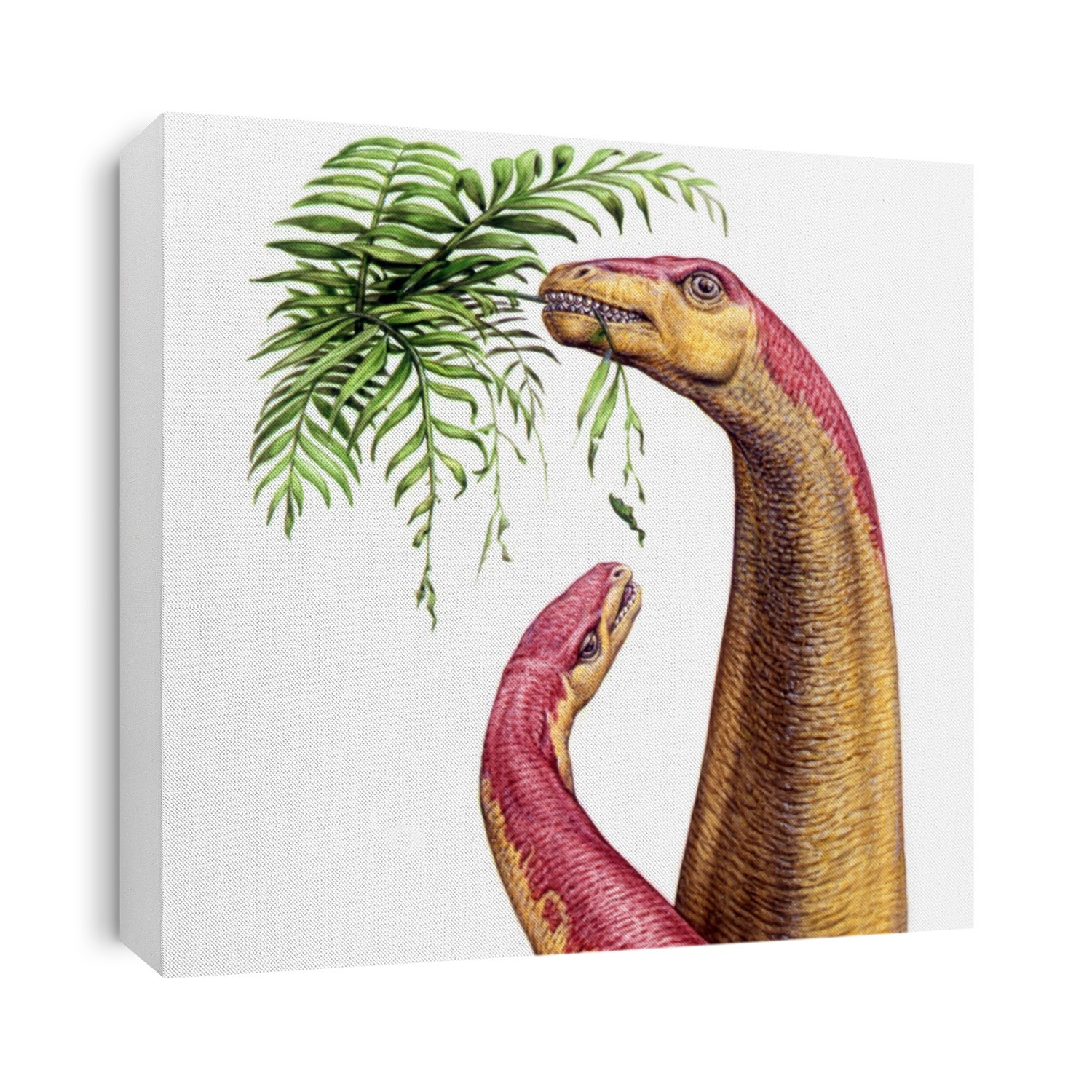 Kotasaurus dinosaurs. Computer illustration of an adult and young Kotasaurus sp. dinosaur eating leaves from a tree. These herbivorous saurops lived during the Early Jurassic period (around 200 to 175 million years ago), in what is now India.