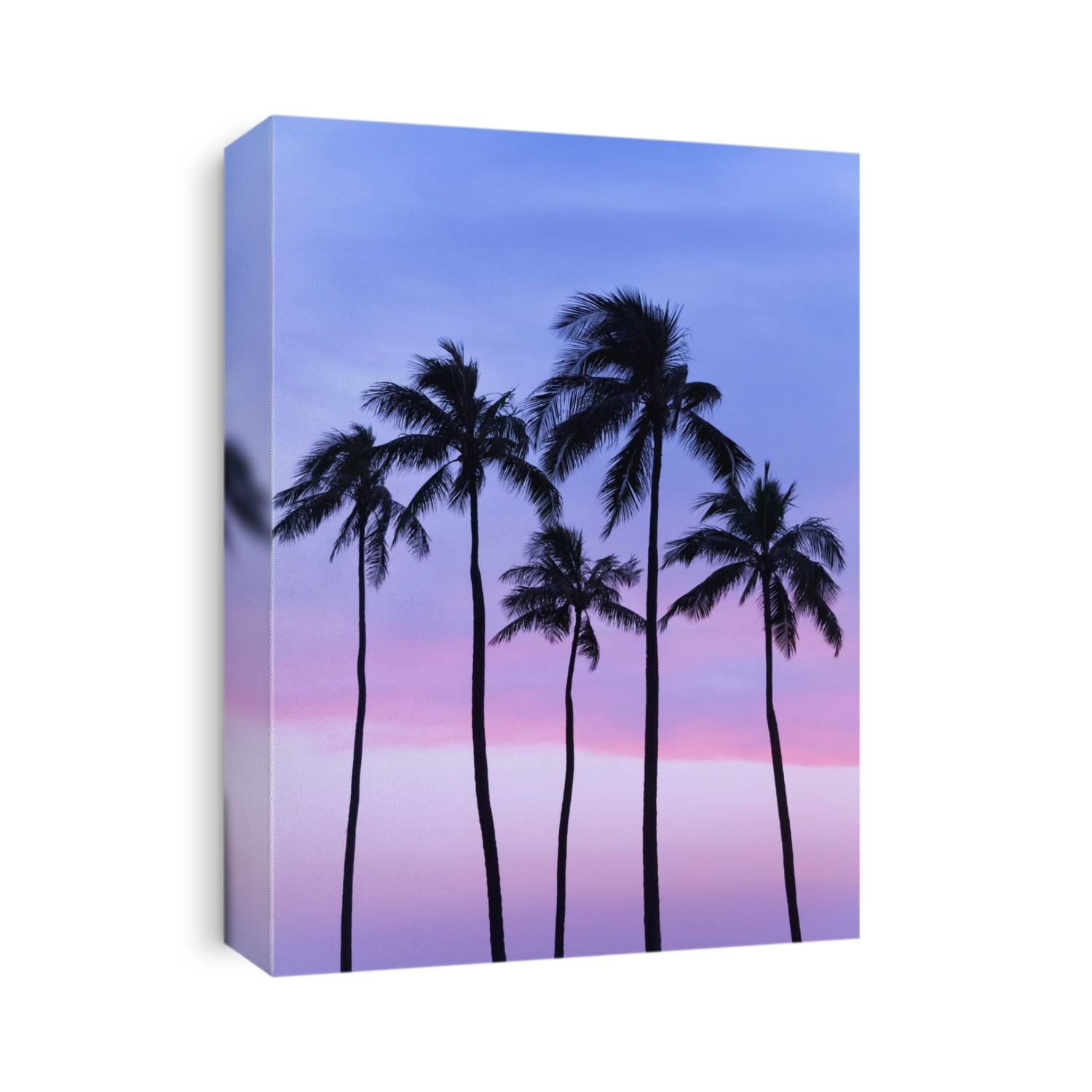 Five Coconut Palm Trees In Line With Cotton Candy Sunset Behind; Honolulu, Oahu, Hawaii, United States Of America
