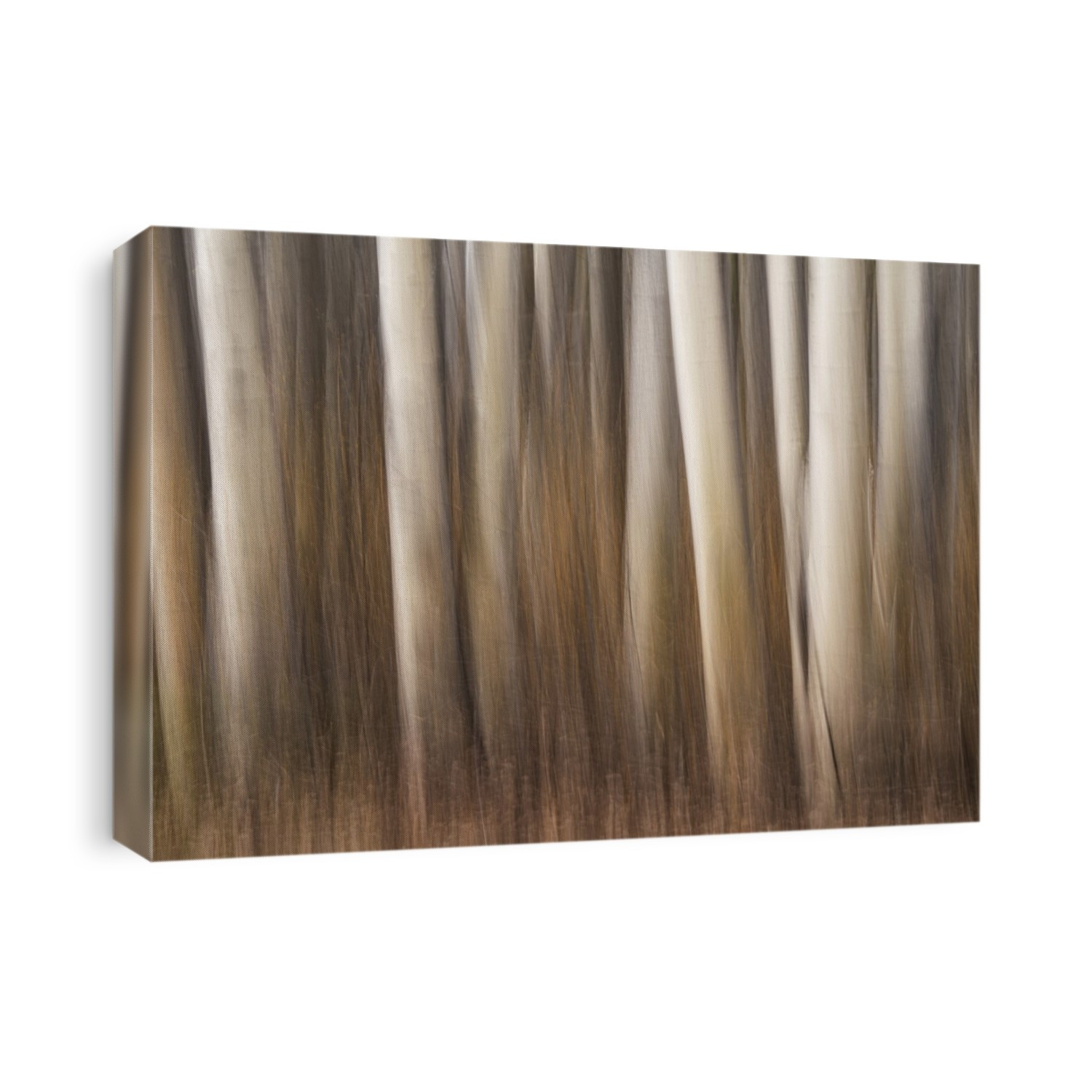 Abstract art of tree trunks after panning the camera while taking the photo; Yukon, Canada