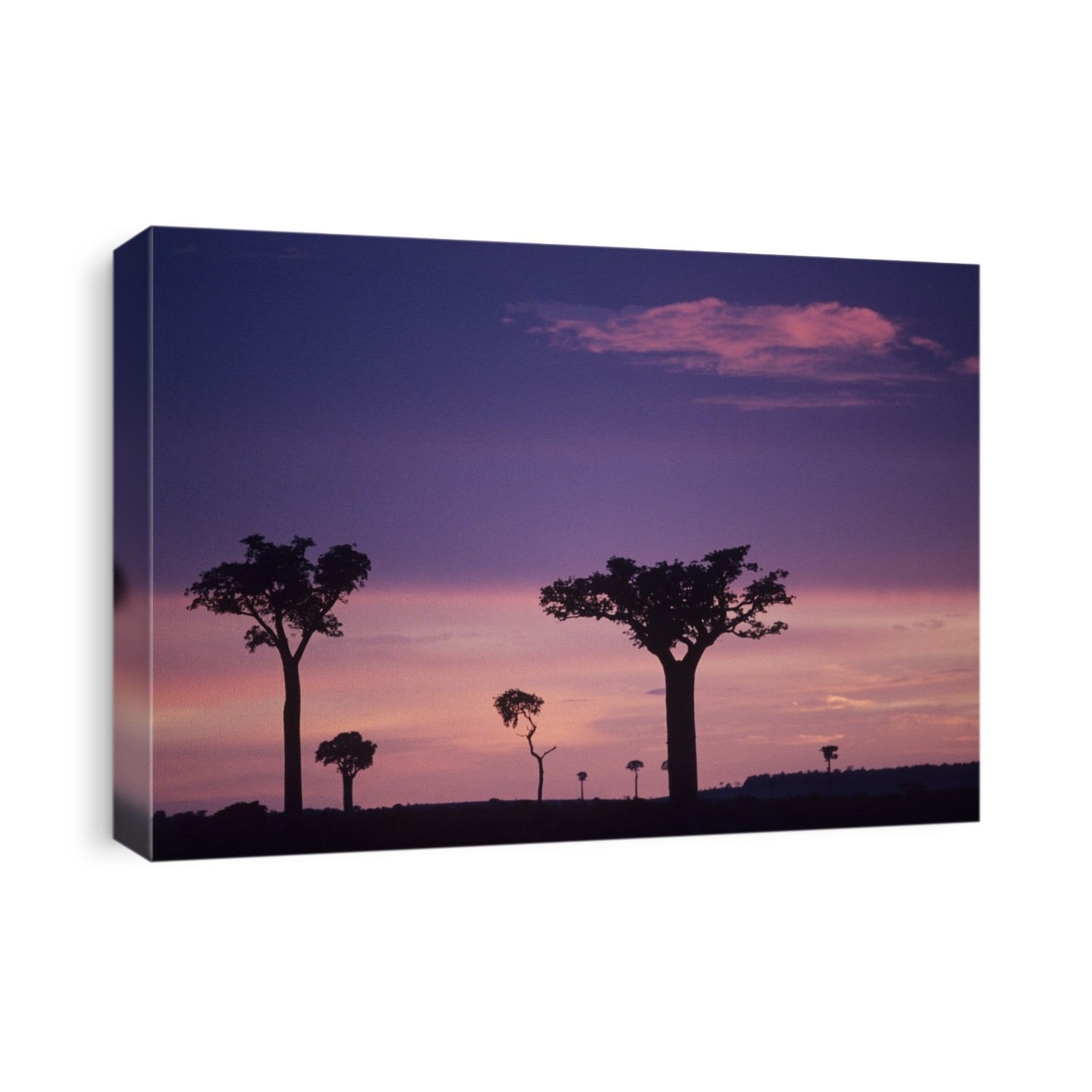 Silhouetted trees against a pink and purple dusk sky in Madagascar.