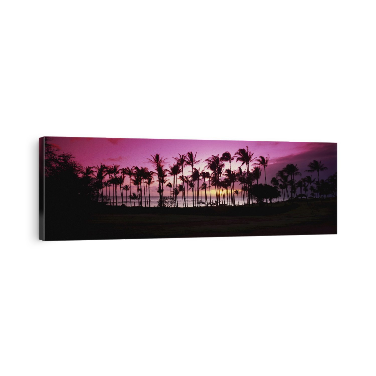 Tropical Sunset With Magenta Sky And Palm Trees In Kapalua Bay; Maui, Hawaii, United States Of America