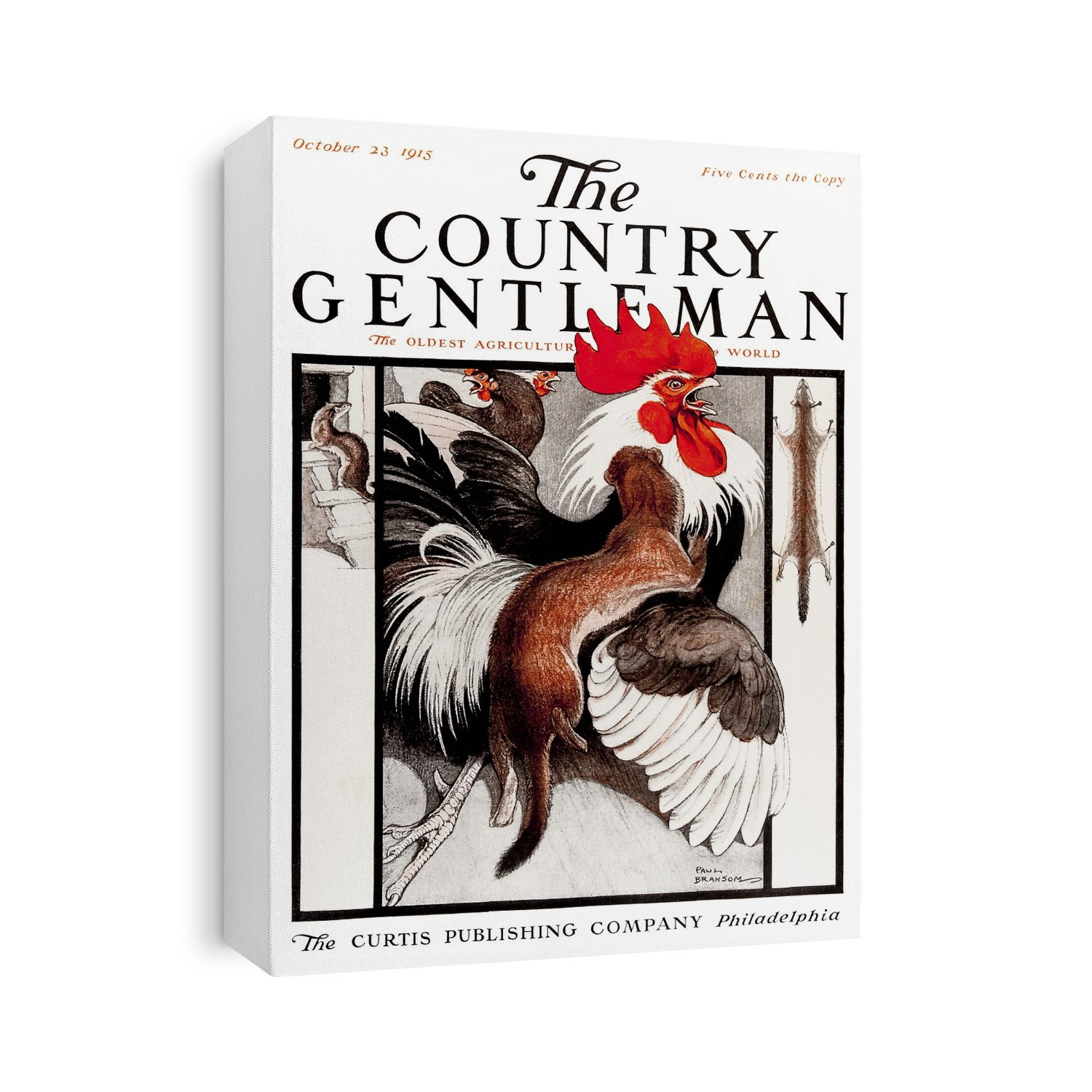 Cover Of Country Gentleman Agricultural Magazine From The Early 20th Century. .