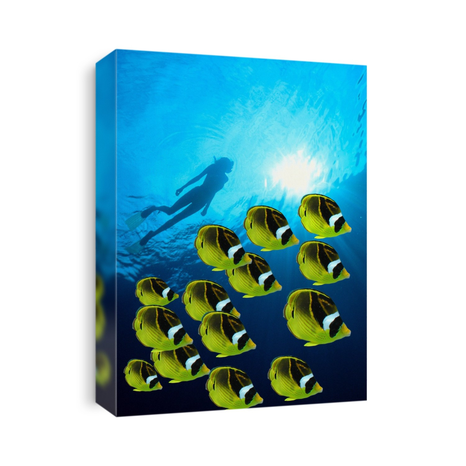 Raccoon Butterflyfish school foreground, woman snorkeler silhouetted surface sunburst
