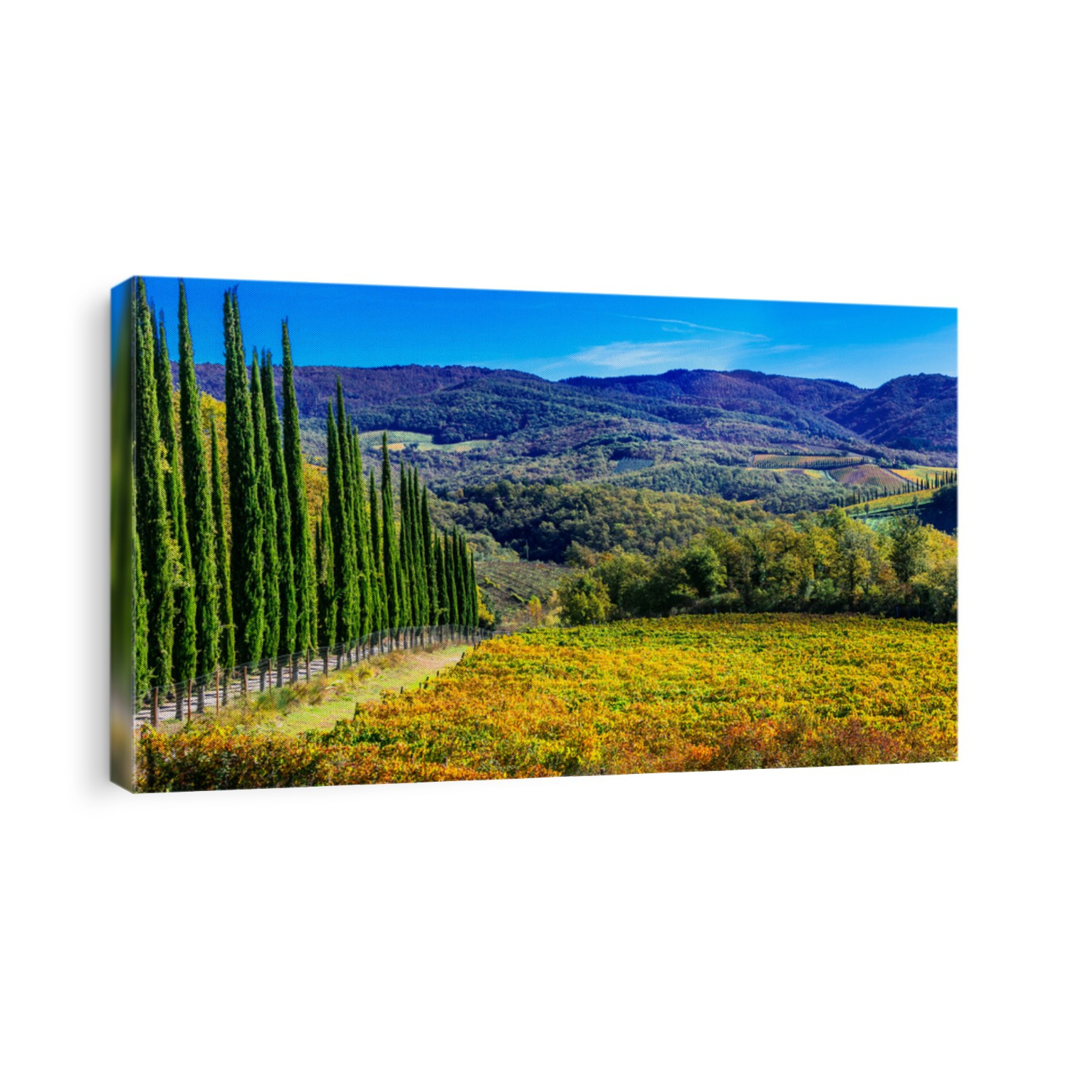 Traditional Tuscany - scenery with autumn vineyards and cypresses. Italy