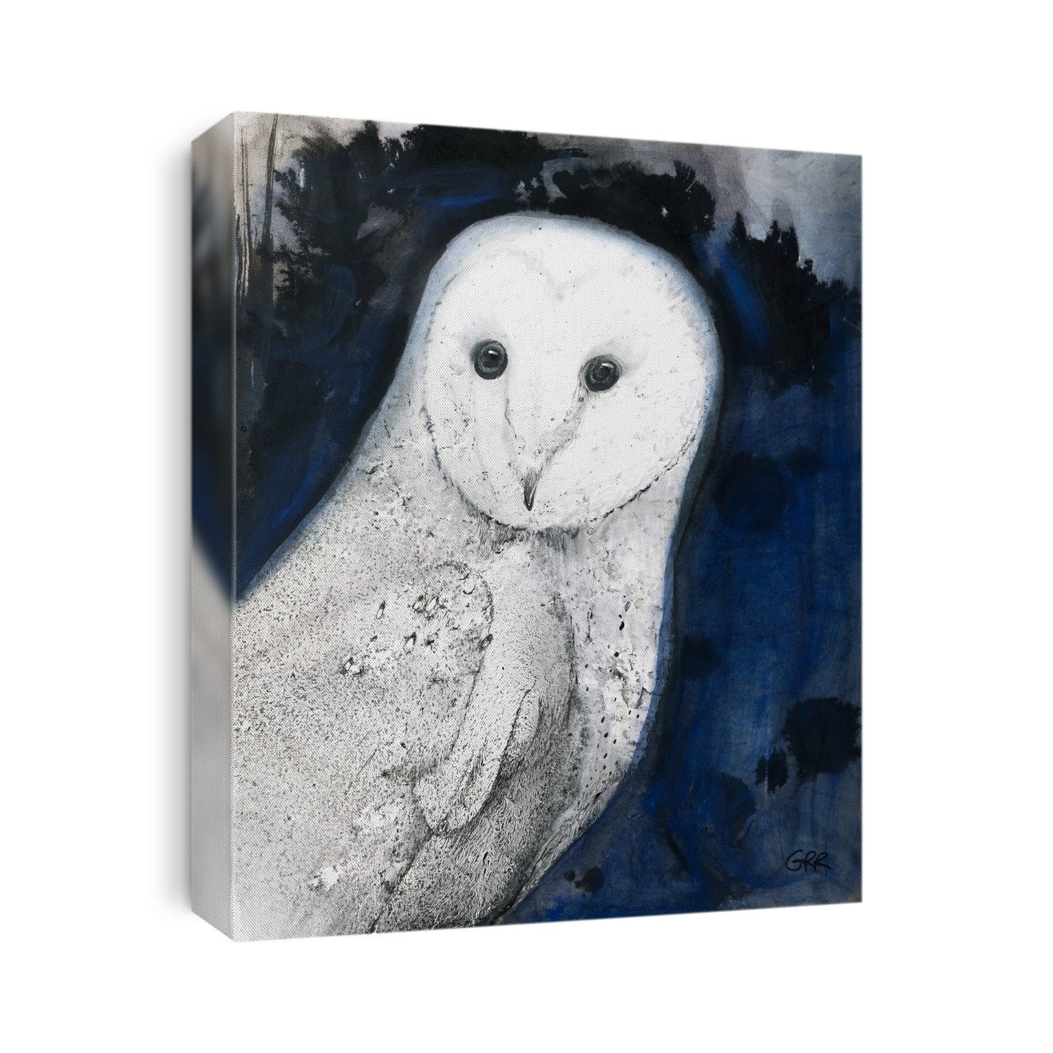 Illustration Of A White Owl; Illustration