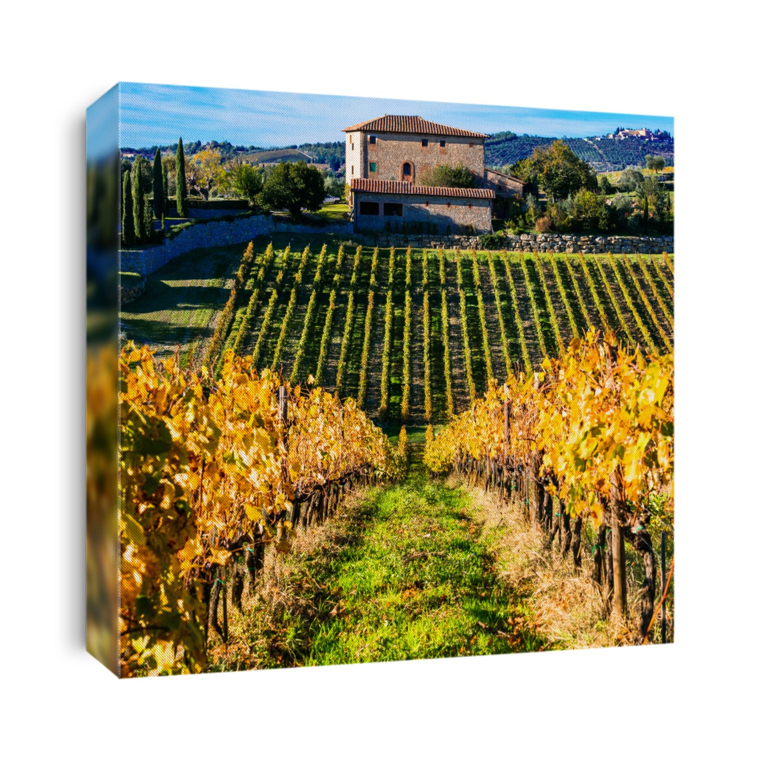 Traditional Tuscany - scenery with autumn vineyards. Italy
