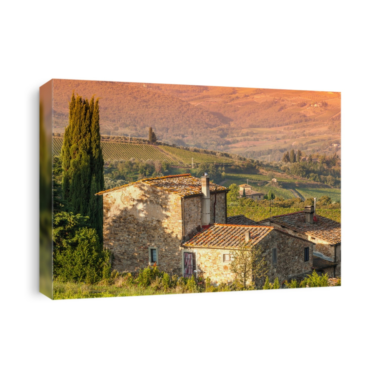 Vineyards in chianti