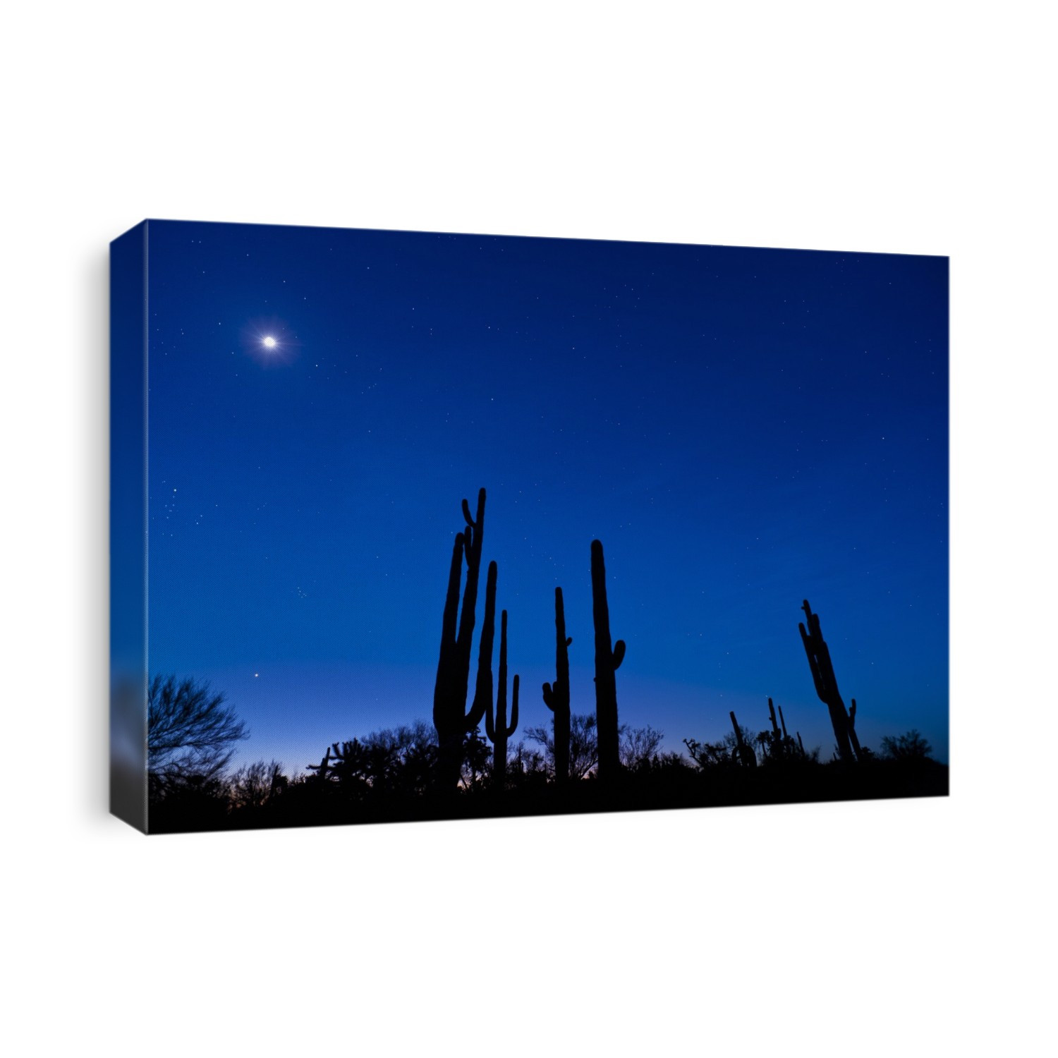 Moon and stars over a desert. Photographed in the Sonora Desert, Arizona, USA.