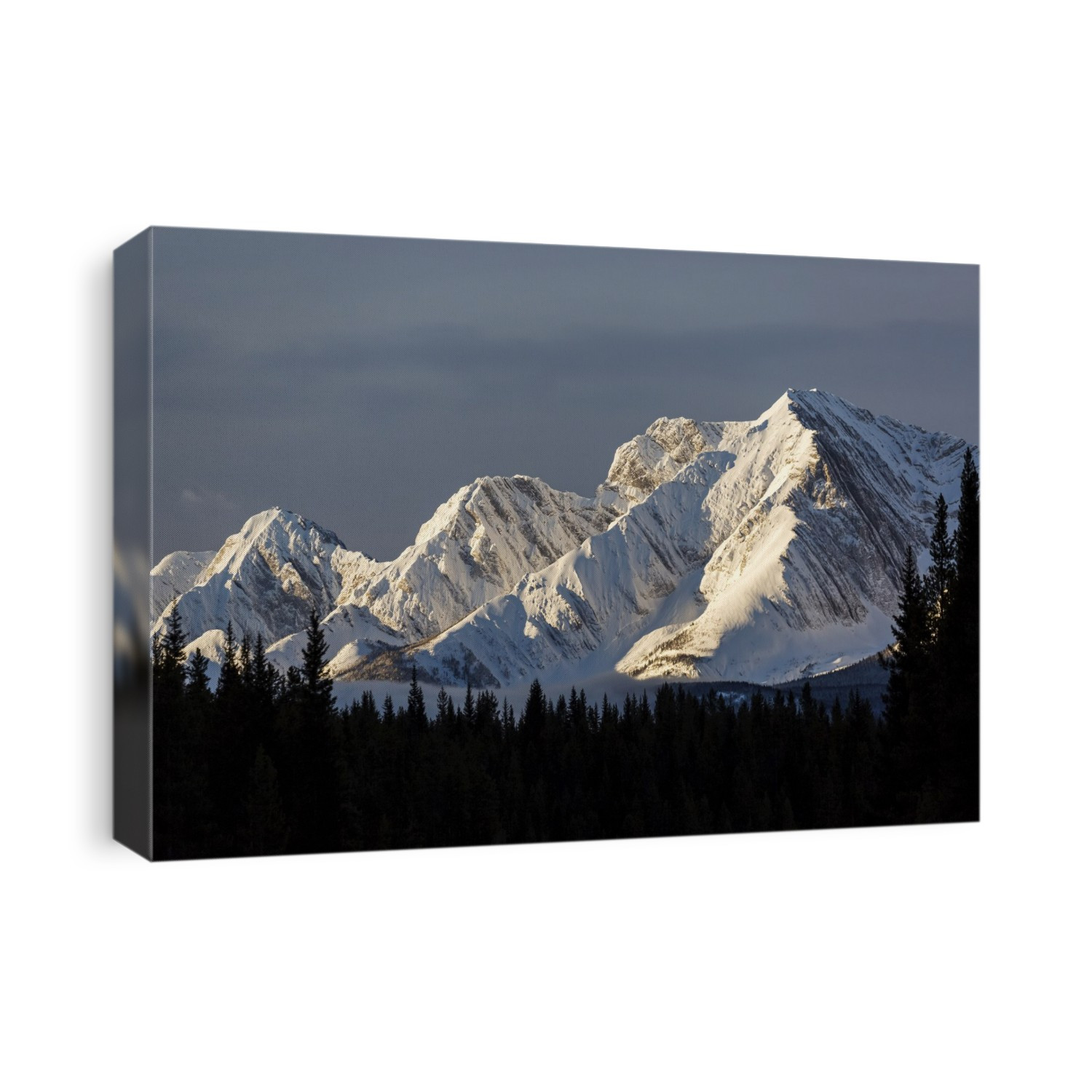 Snow Covered Mountains With Early Morning Light, Silhouetted Forest In The Foreground, Blue Sky And Clouds; Kananaskis Country, Alberta, Canada