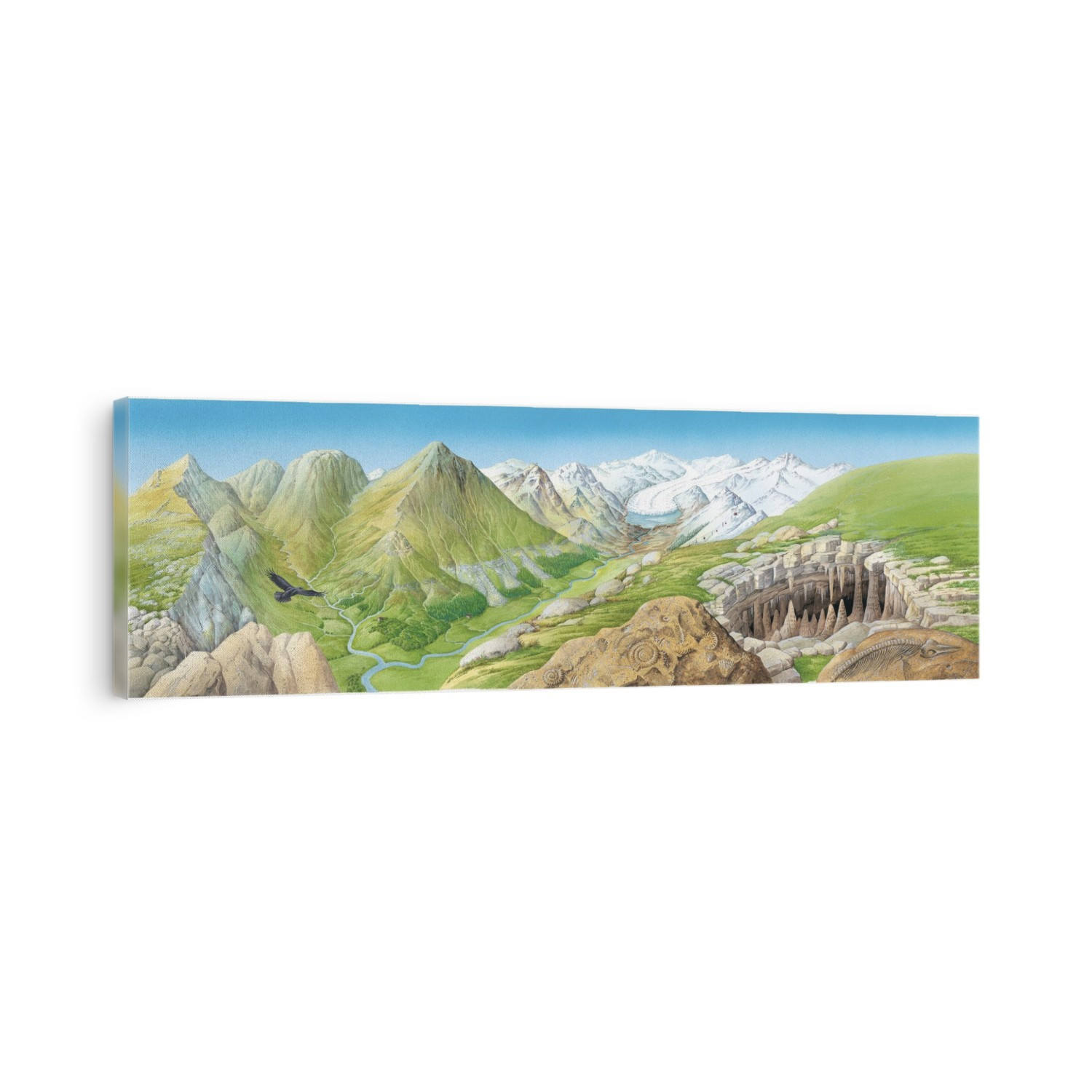 Mountain geography. Artwork of various geographical features of mountain landscapes. At right is a karst limestone landscape formed by water erosion, including cave stalactites and stalagmites. In the foreground at lower right are fossils of marine reptiles and marine invertebrates. These fossils formed millions of years ago under ancient seas, and have been uplifted here as the mountains formed. Snow and ice falling on the mountains form glaciers (upper right) and rivers that erode the mountains (scree slopes at centre). Some rocks are deposited by ancient glaciers. Also shown here are a bird-of-prey (lower left) and a cable car system (upper right).