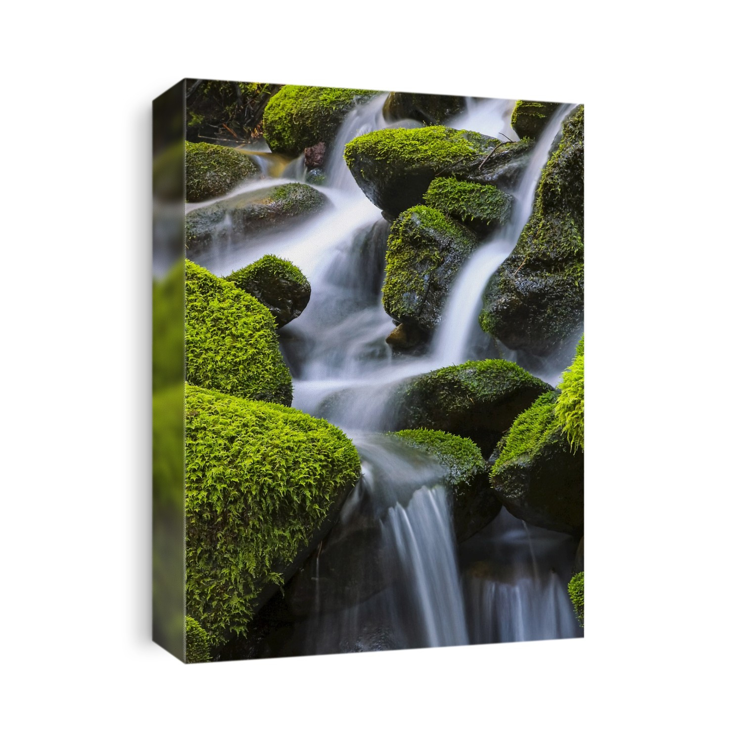 Moss-covered rocks with cascading water; Denver, Colorado, United States of America