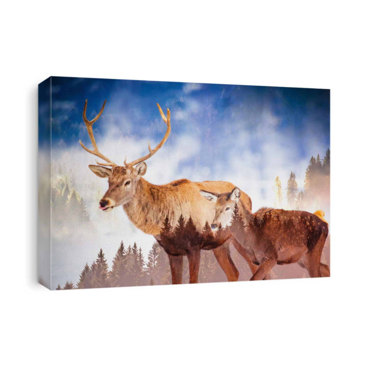 double exposure of deer and pine forest - save our planet - fight global warming