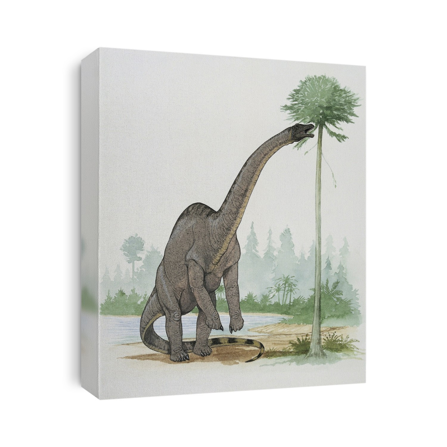 Rhoetosaurus eating leaves of a tree.
