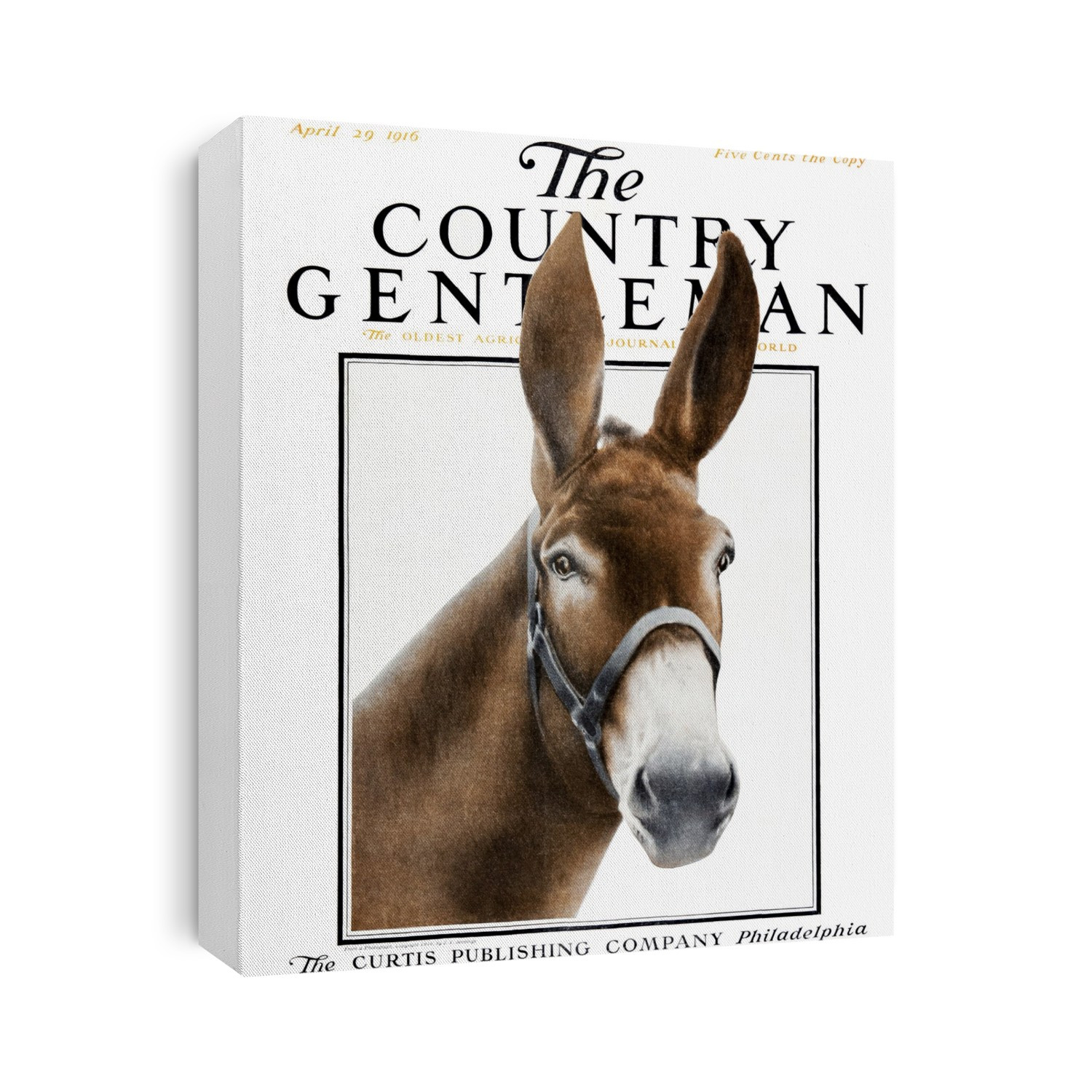 Cover Of Country Gentleman Agricultural Magazine From The Early 20th Century. .