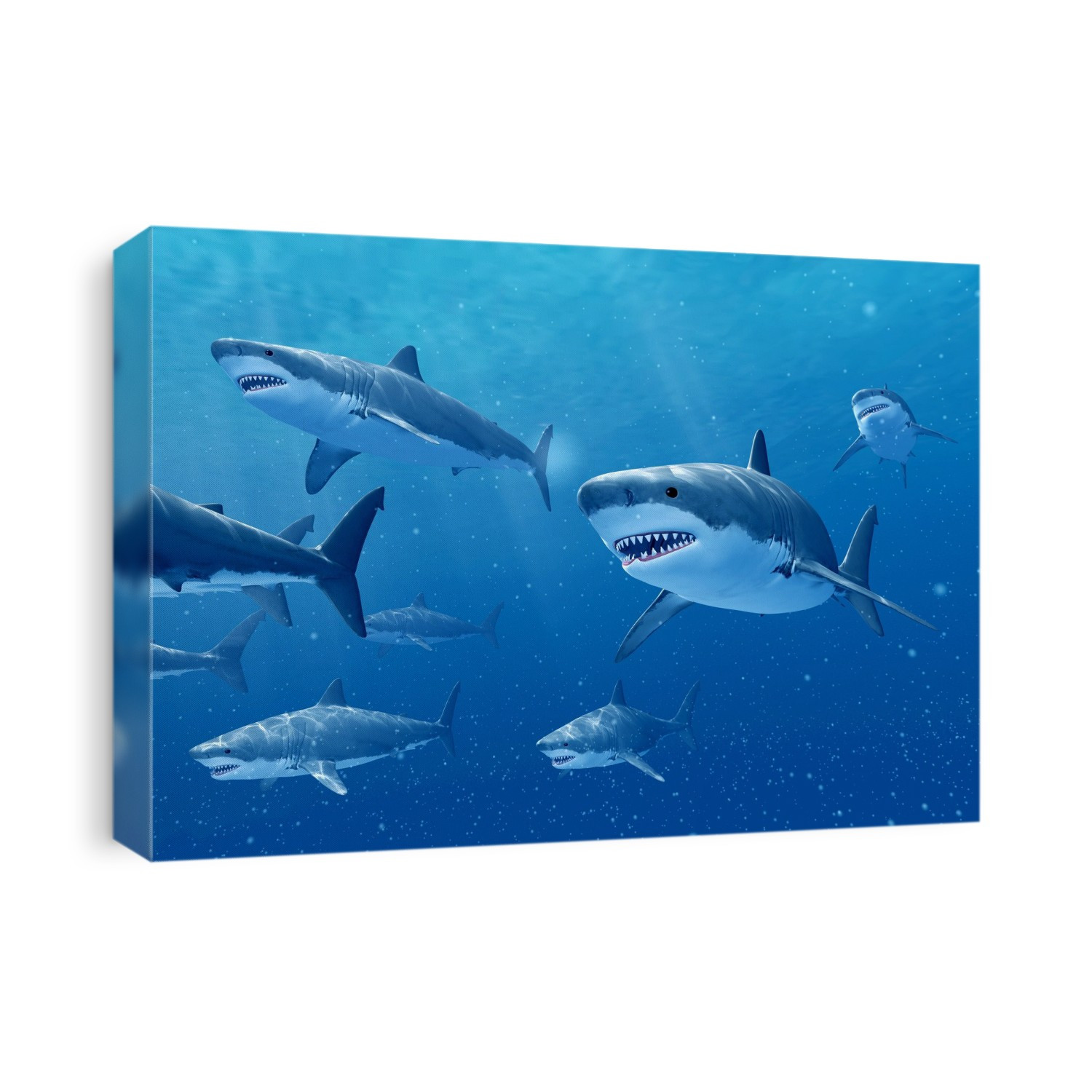 Sharks swimming underwater, illustration.