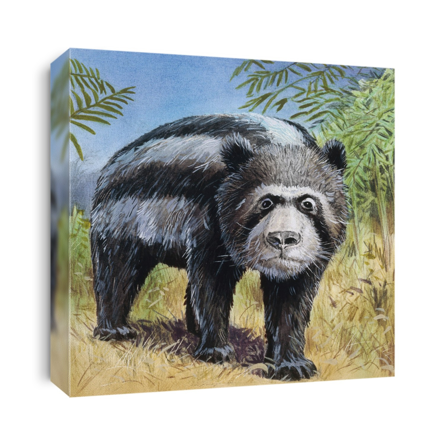 Chapalmalania, illustration. This extinct prehistoric panda-like mammal is an example of a procyonid, a group of animals that includes racoons. Chapalmalania lived from 3.6 to 3 million years ago during the Late Pliocene. It reached body lengths of around 1.5 metres. It was probably omnivorous. Its fossils have been found in South America.
