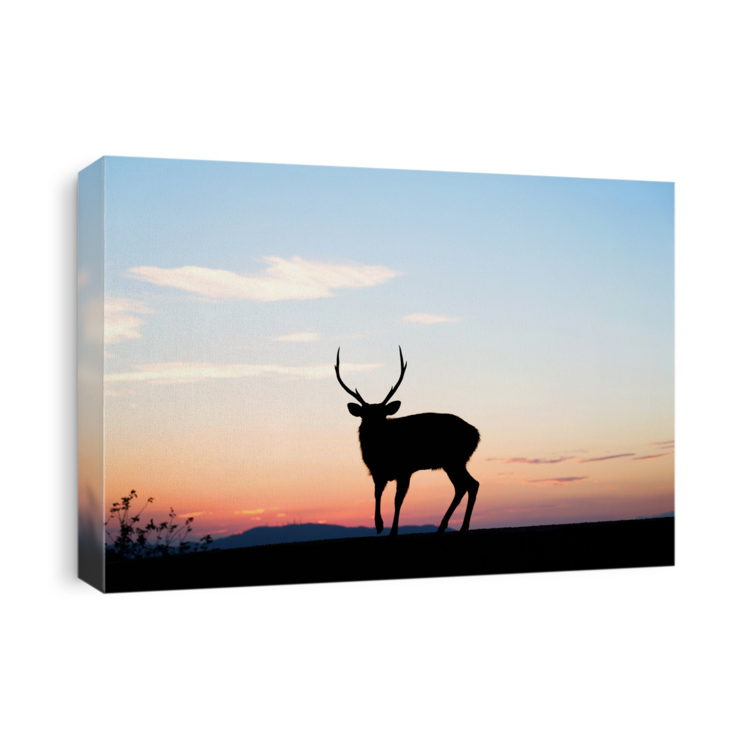 Deer standing top of mountain with sunset
