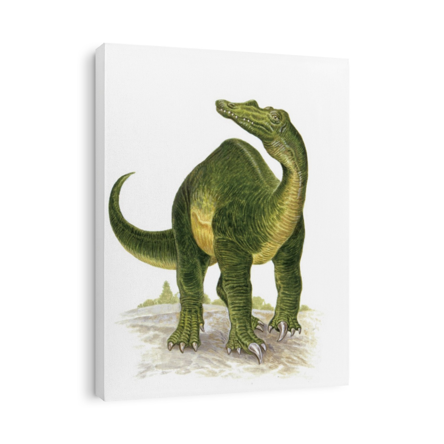 Baryonyx dinosaur. Computer illustration of a Baryonyx sp. dinosaur. This fish-eating theropod lived around 130 million years ago, during the Barremian stage of the Cretaceous period, in what is now the UK and Iberia. It measured around 8.5 metres from head to tail.