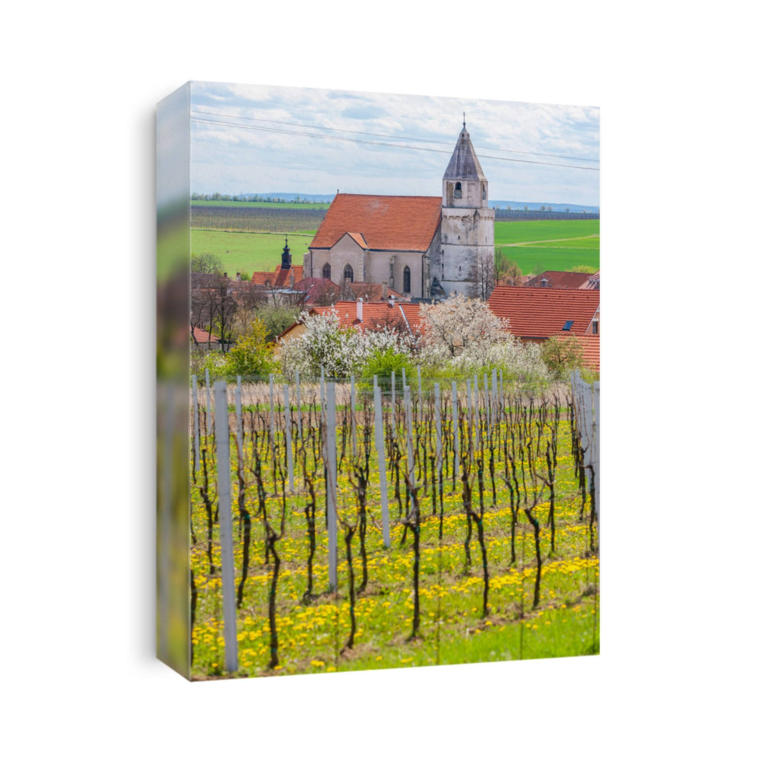 vineyards near Hnanice, Znojmo region, Czech Republic